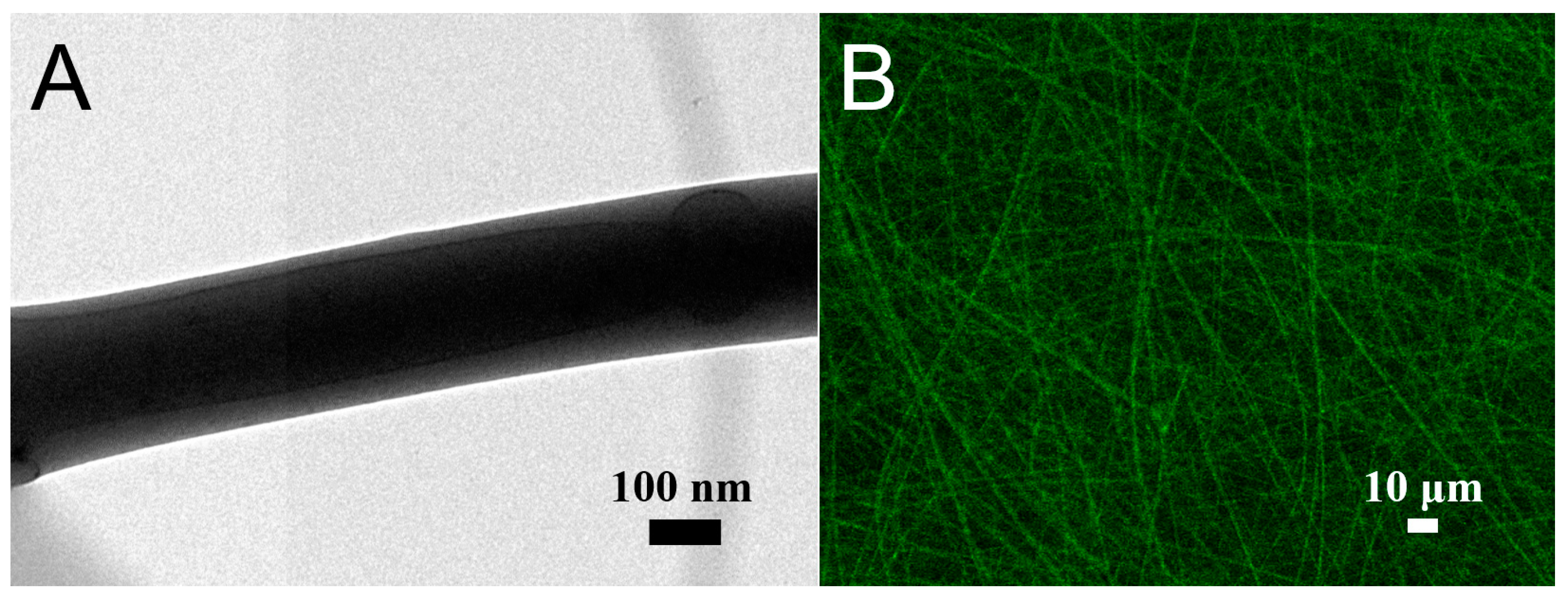 Polymers 13 02295 g006