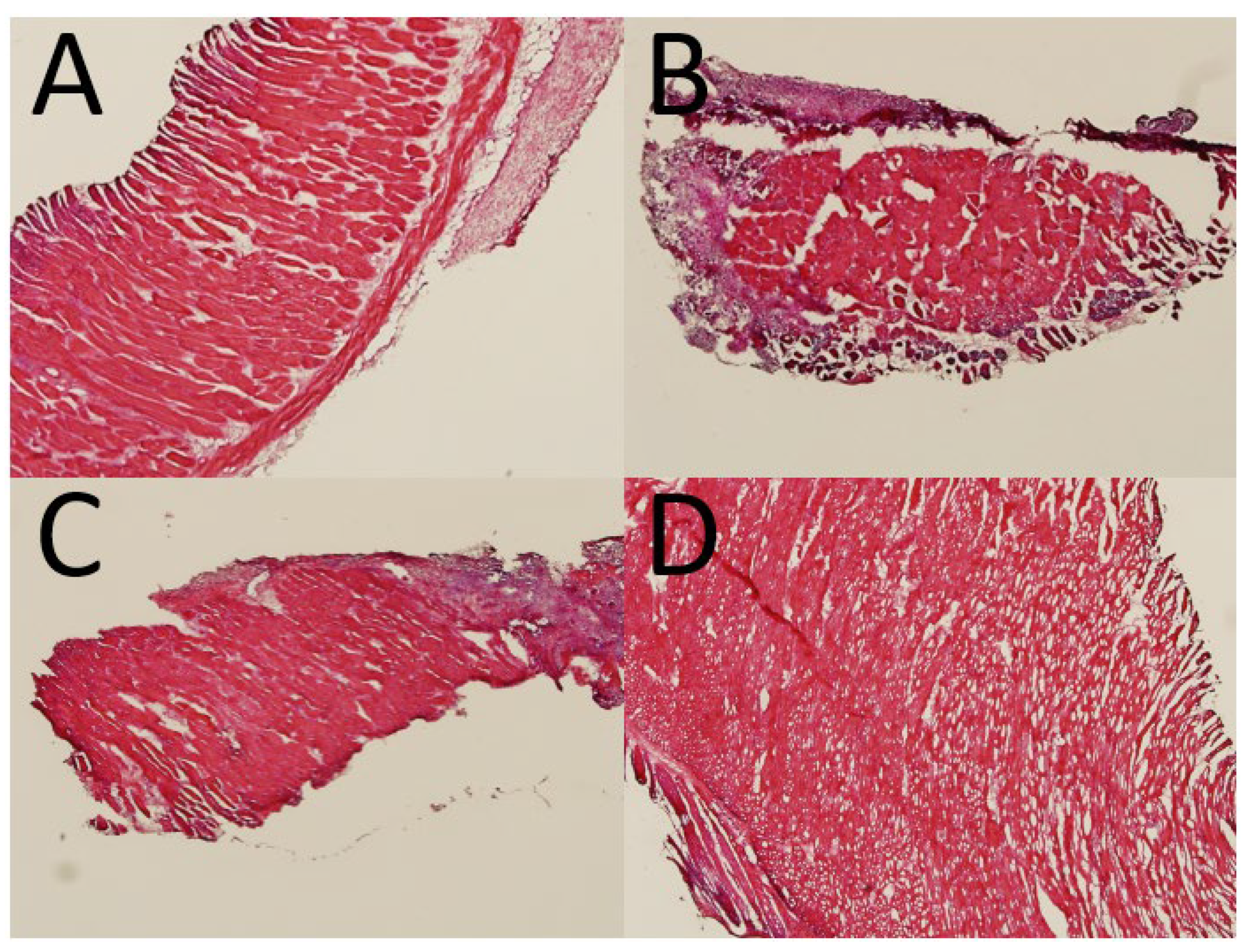 Polymers 13 02295 g011
