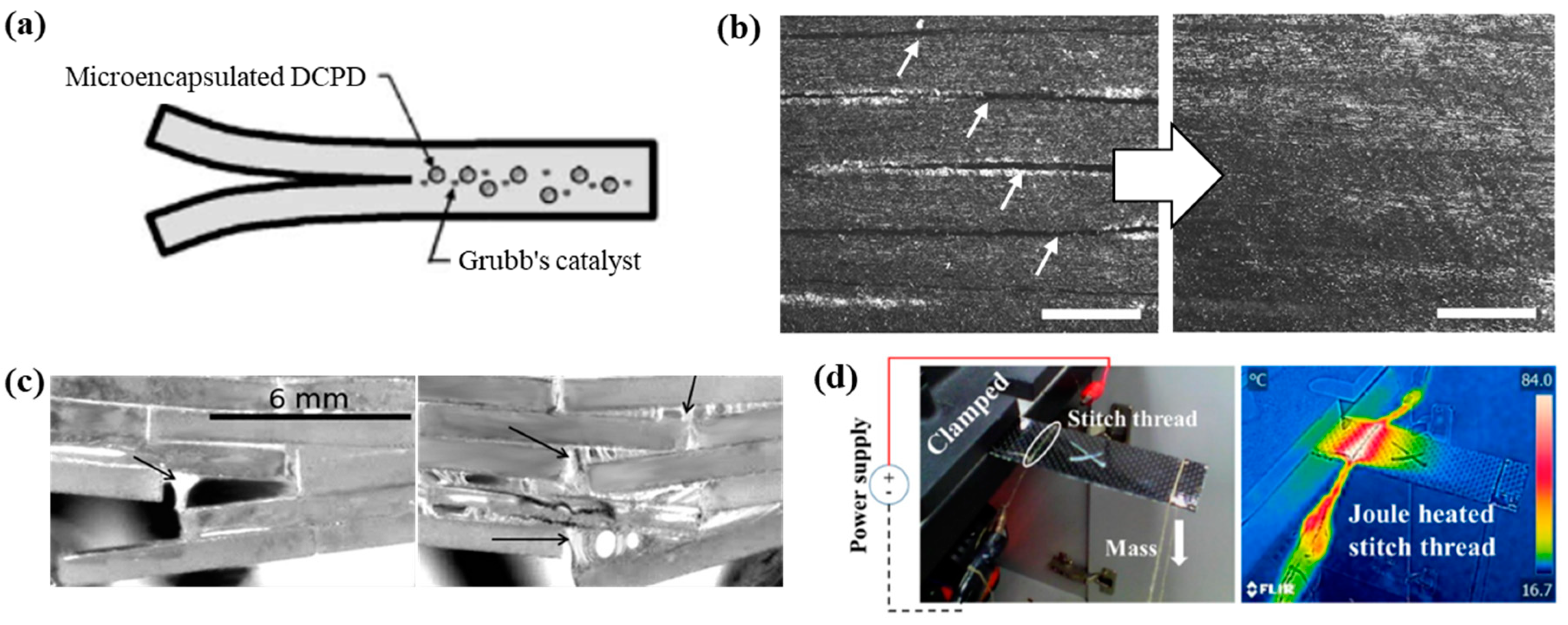 Polymers 13 02297 g001