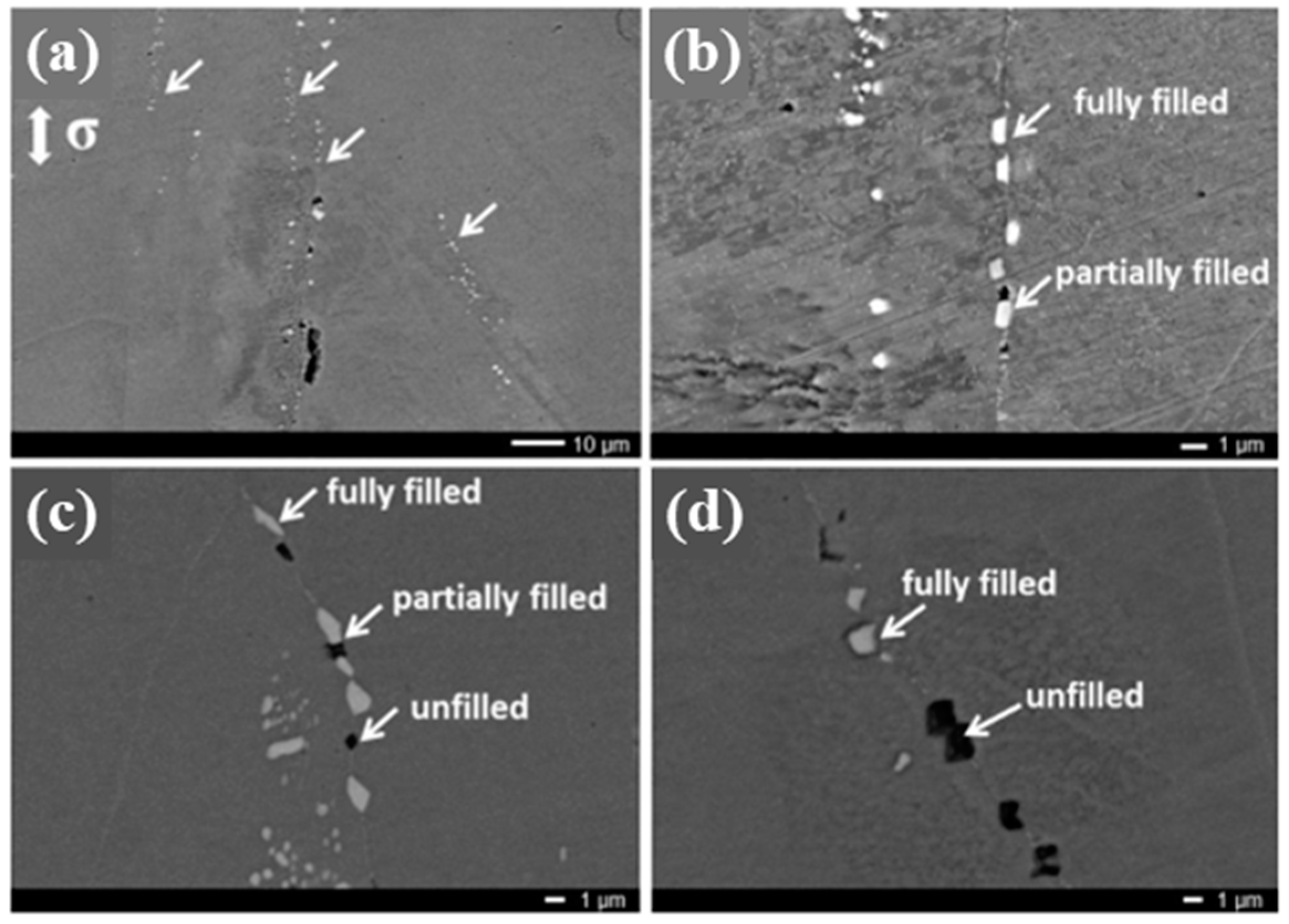 Polymers 13 02297 g004