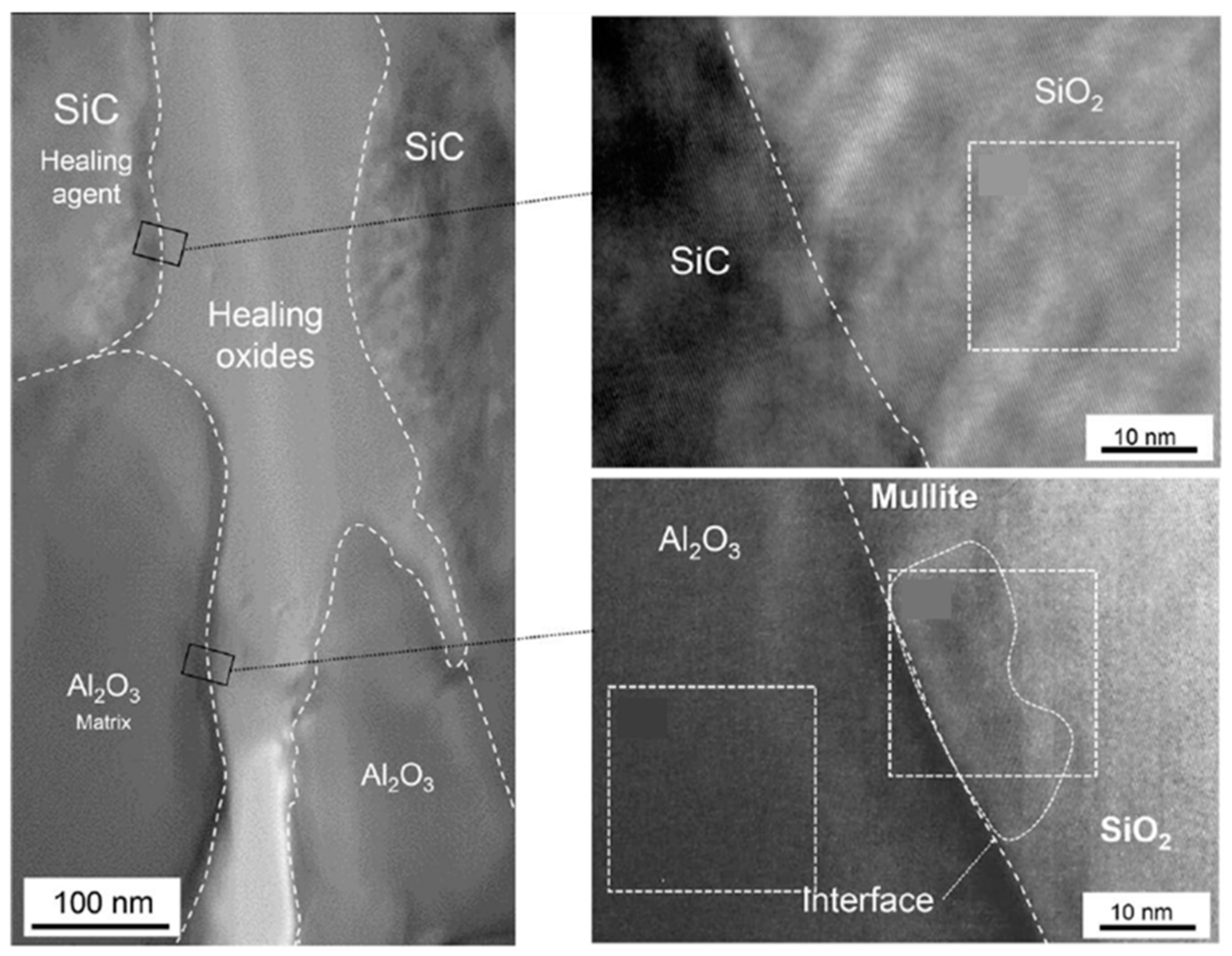 Polymers 13 02297 g005