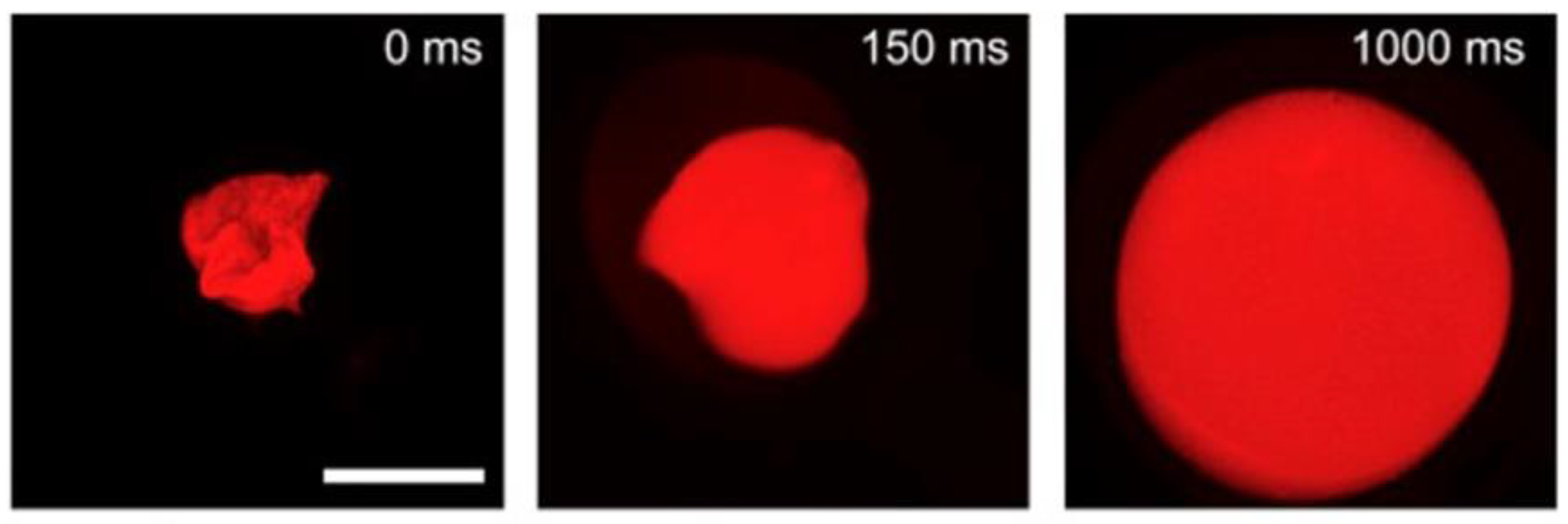 Polymers 13 02299 g007