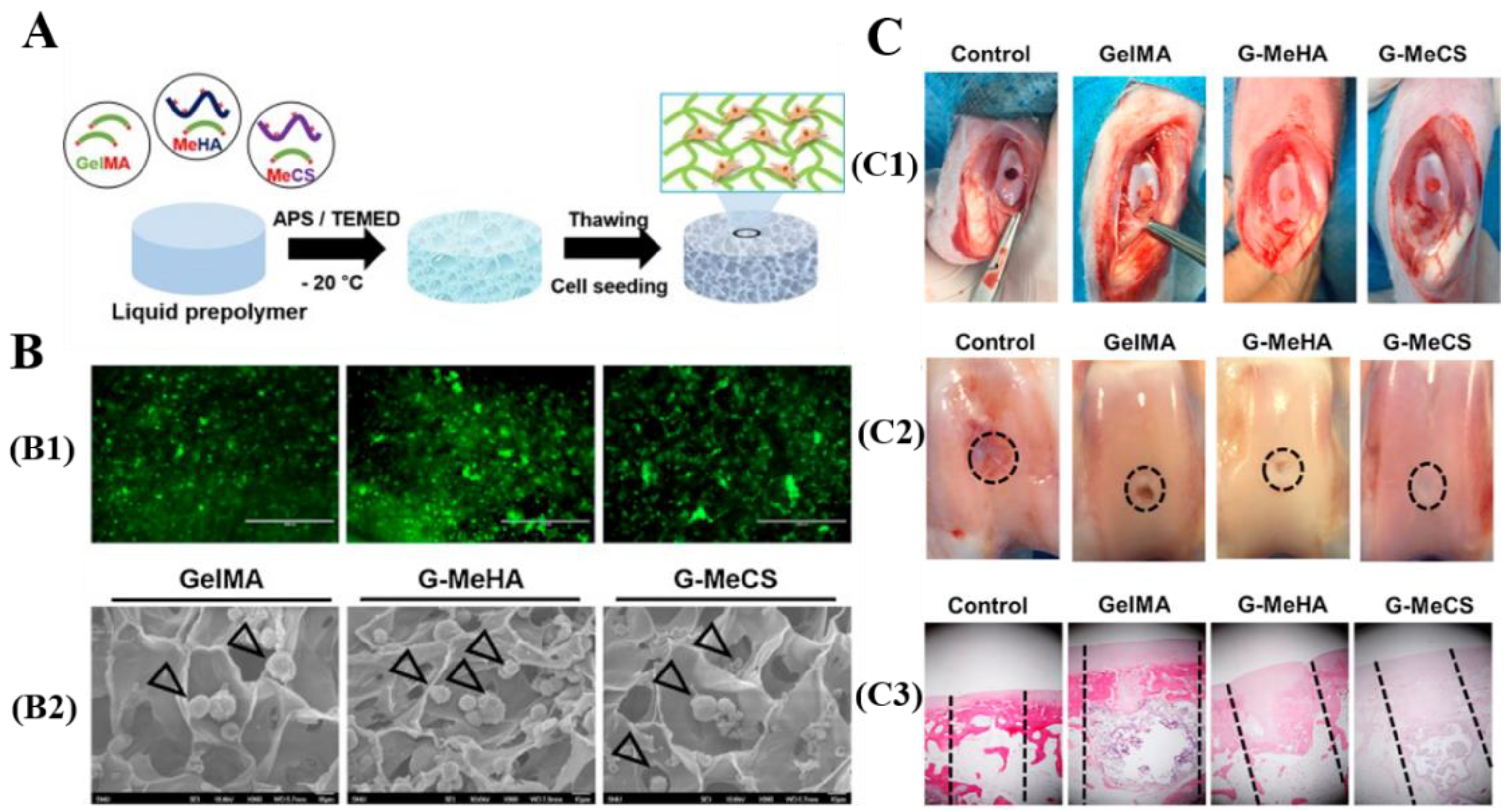Polymers 13 02299 g009