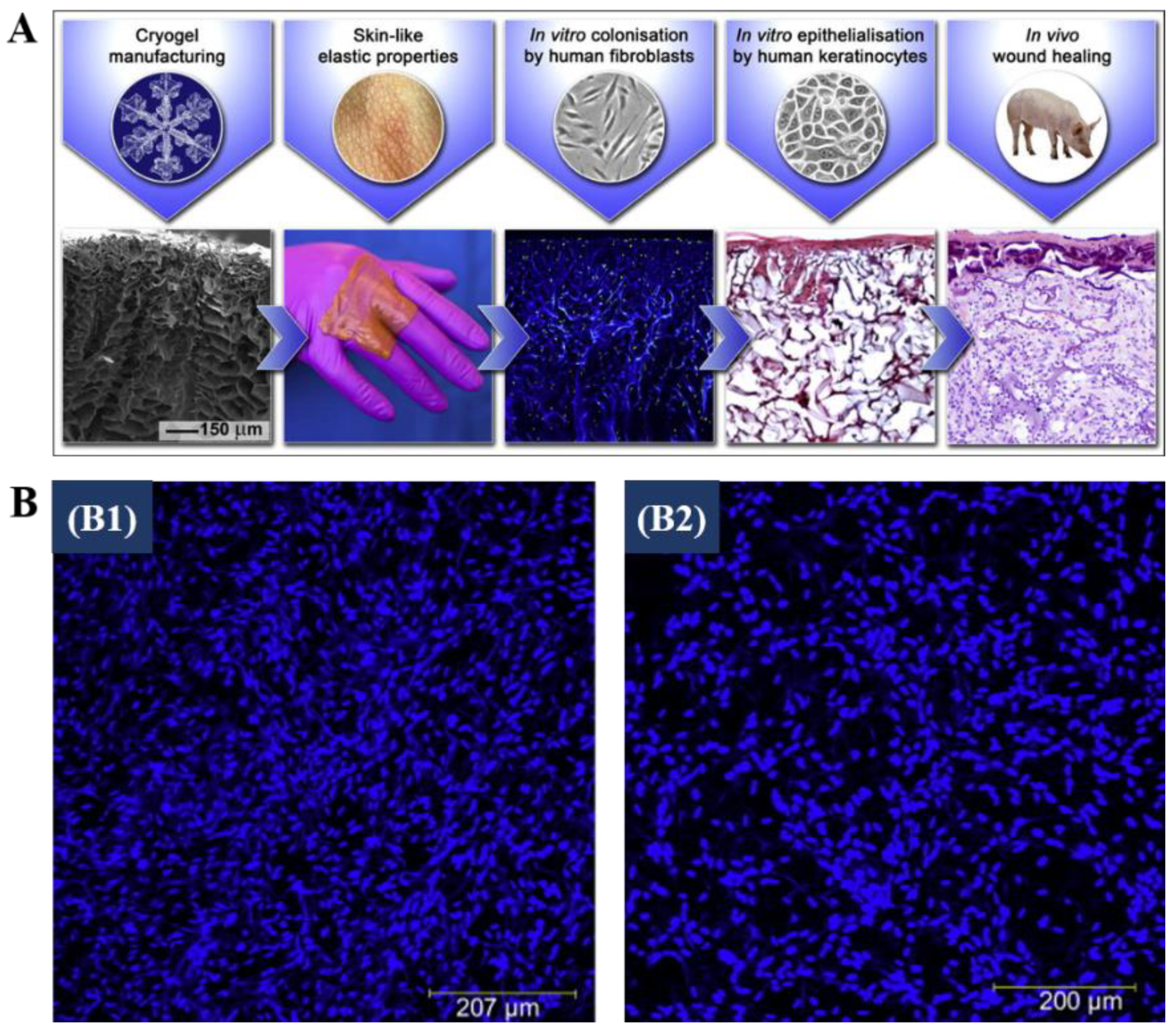 Polymers 13 02299 g010