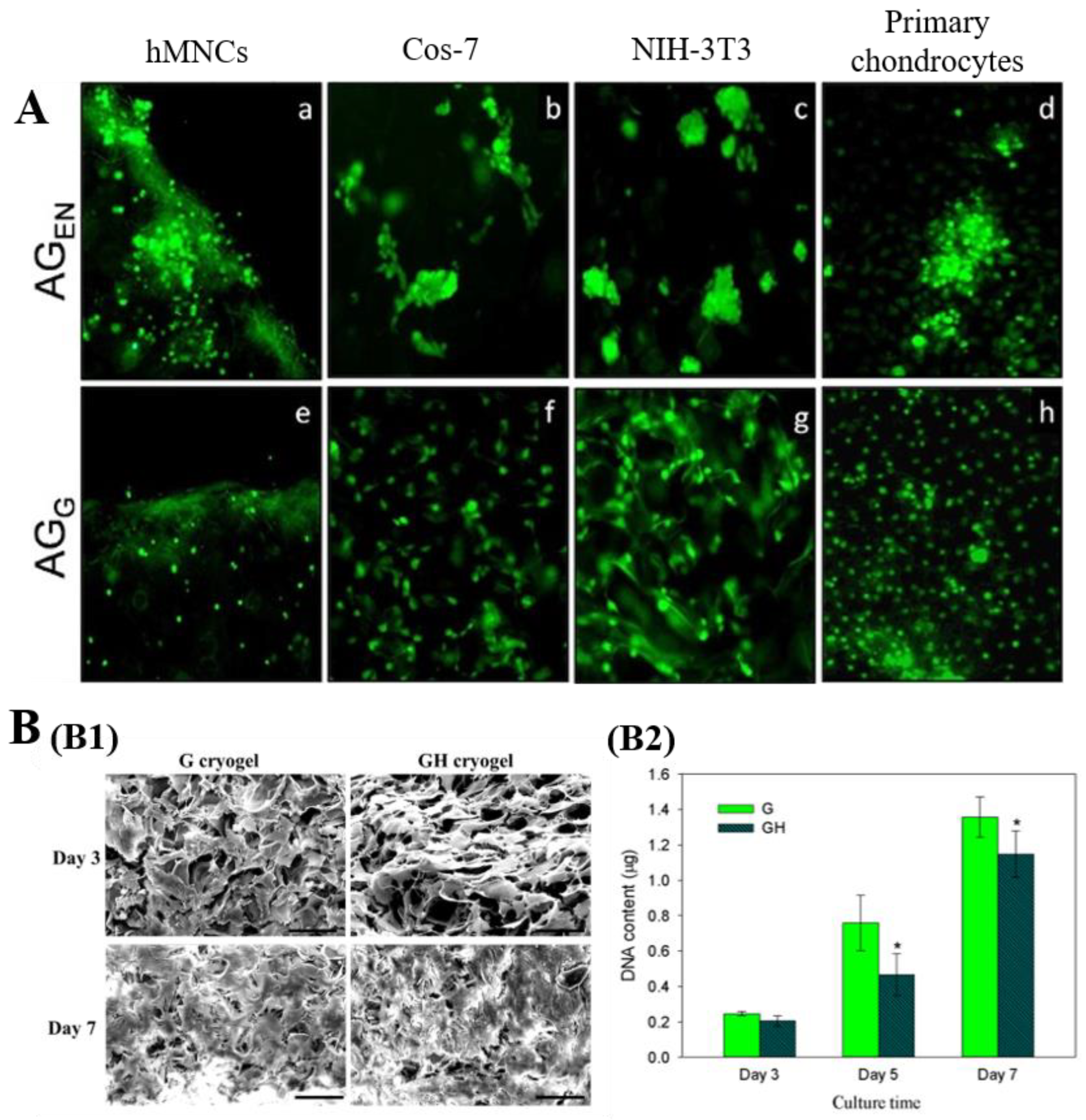 Polymers 13 02299 g012