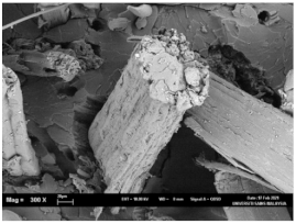 Polymers 13 02303 i001