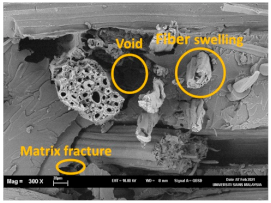 Polymers 13 02303 i002
