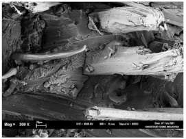 Polymers 13 02303 i007