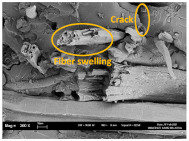 Polymers 13 02303 i008