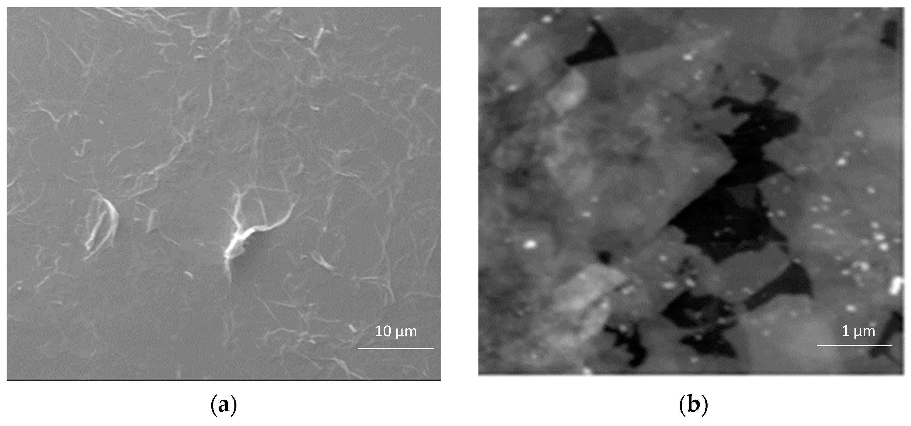 Polymers 13 02305 g005