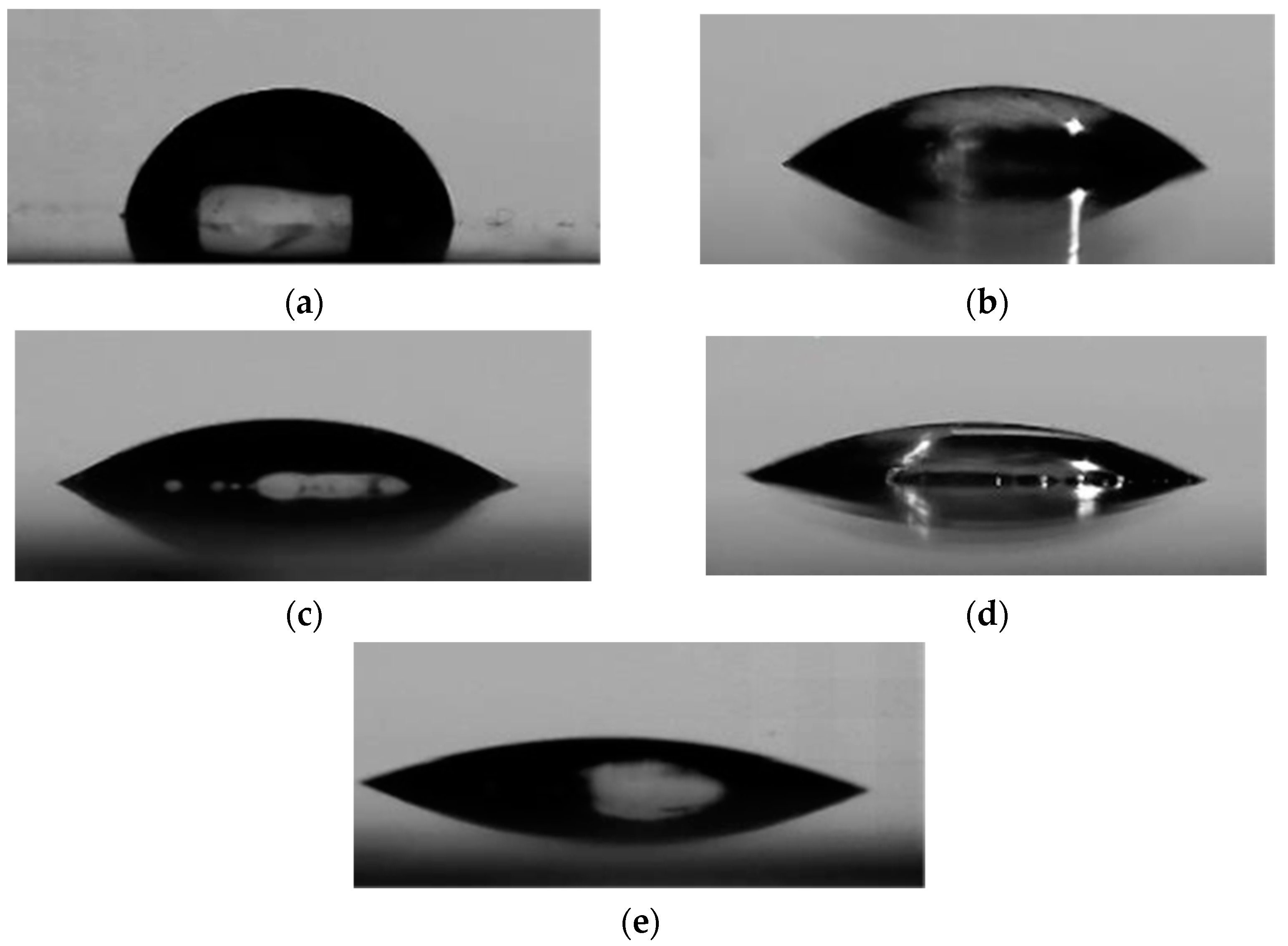 Polymers 13 02305 g009