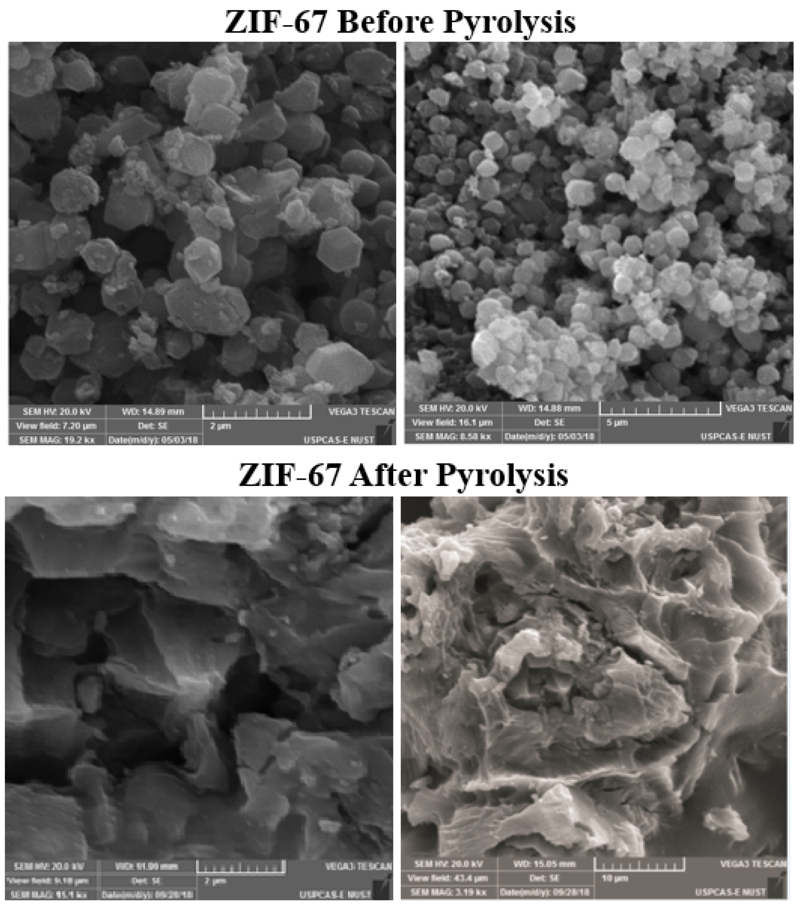 Polymers 13 02307 g001