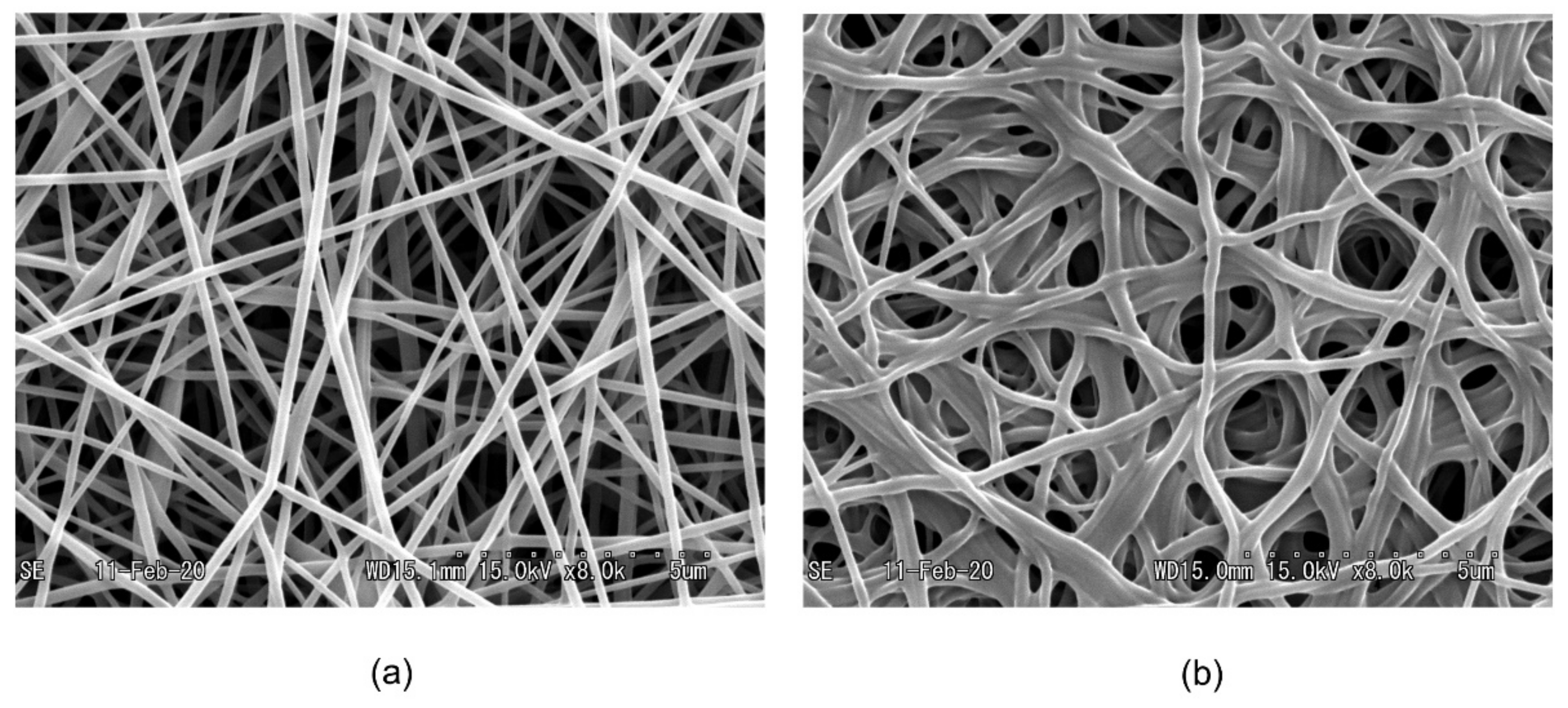 Polymers 13 02313 g002