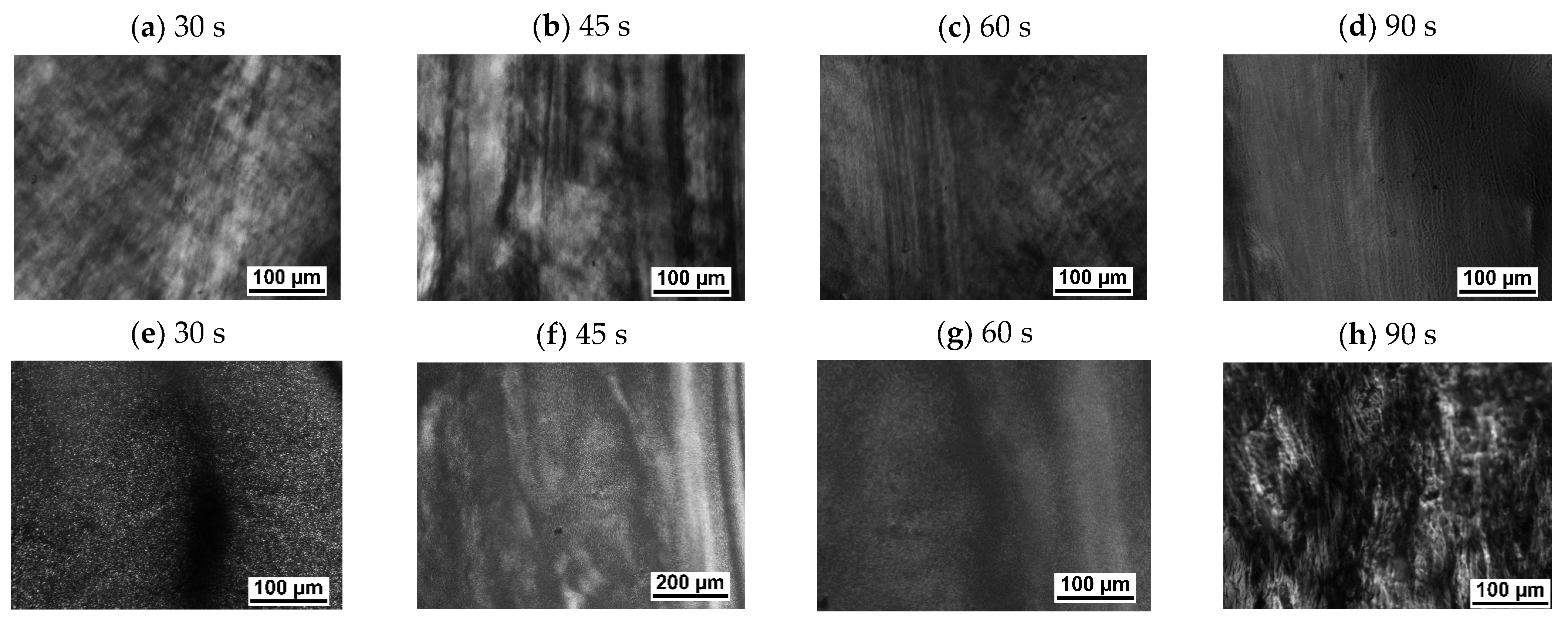 Polymers 13 02315 g005
