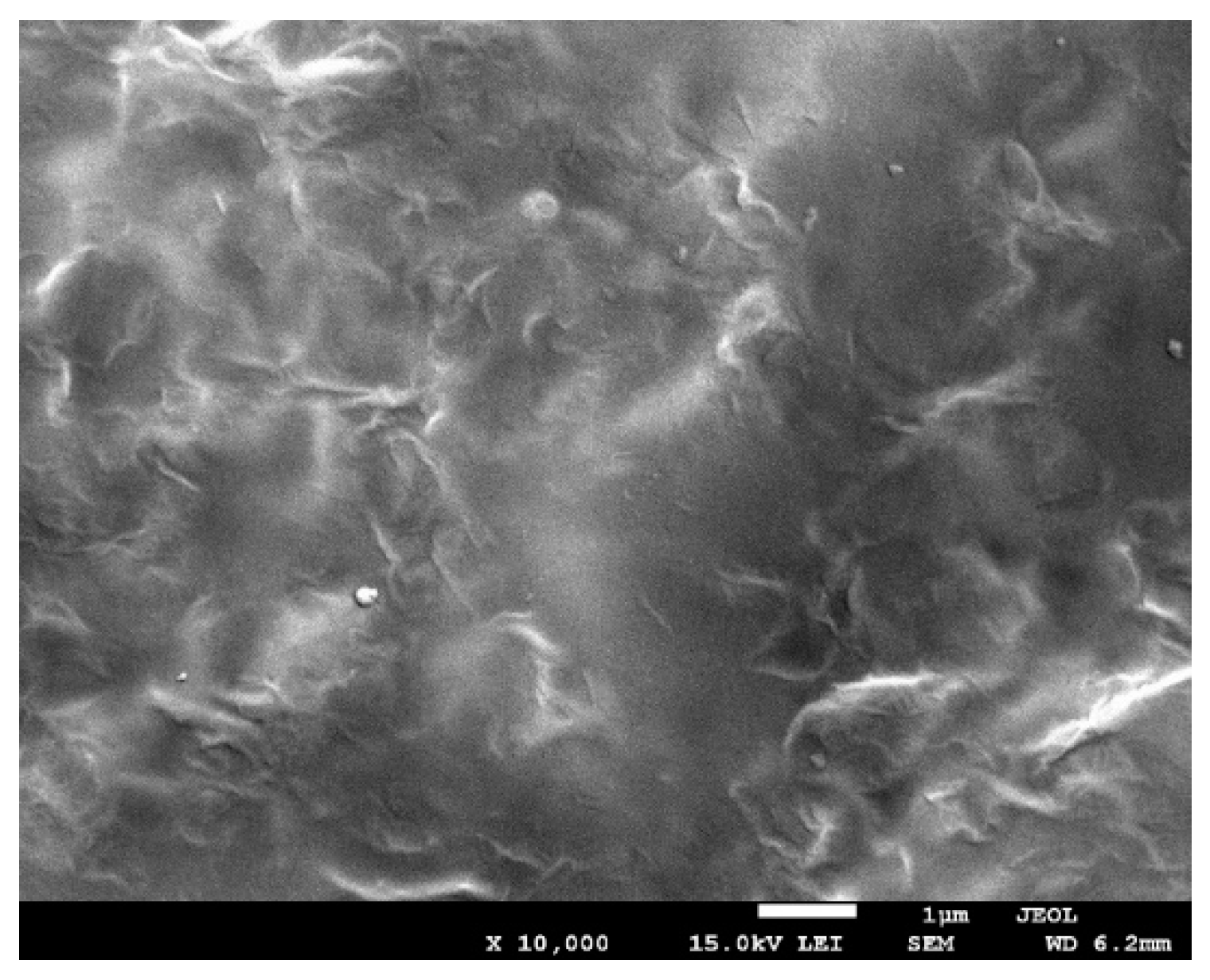 Polymers 13 02327 g005