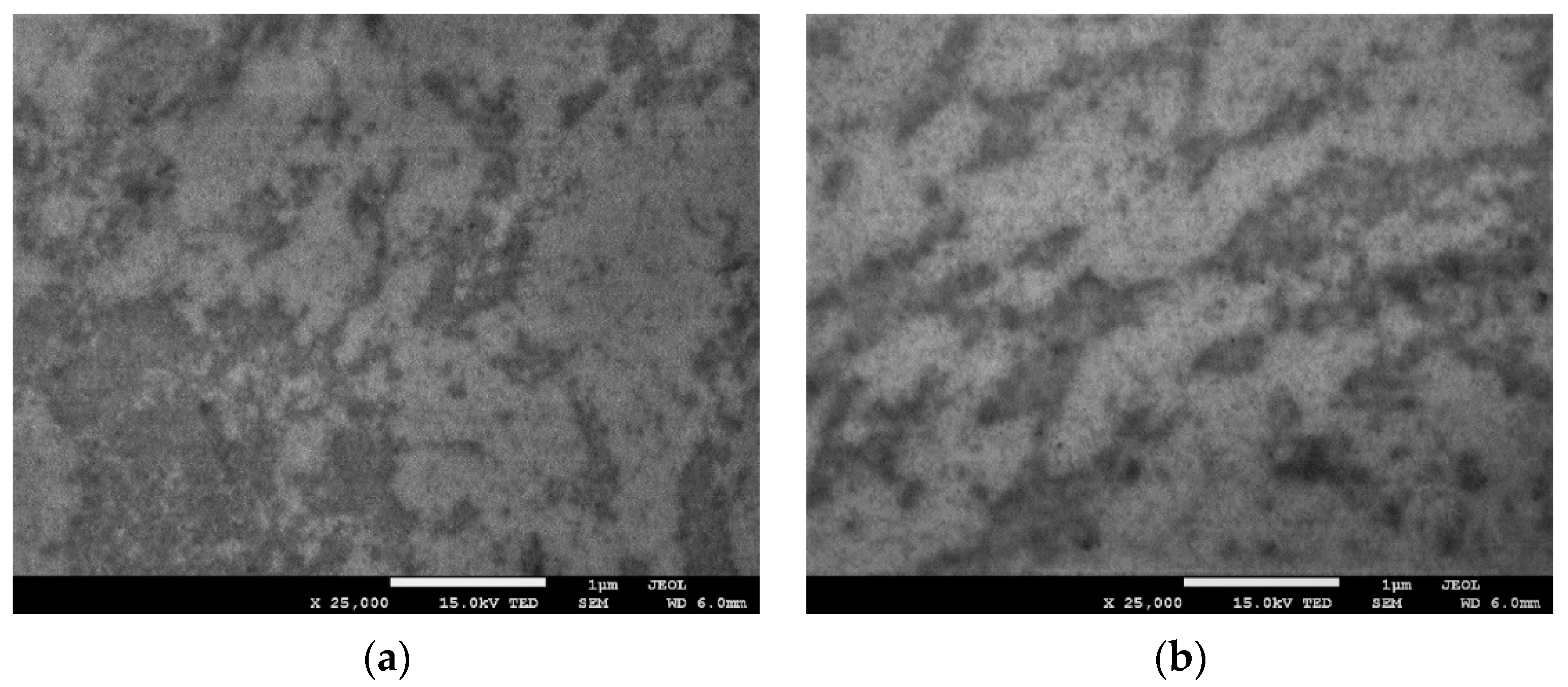 Polymers 13 02327 g006