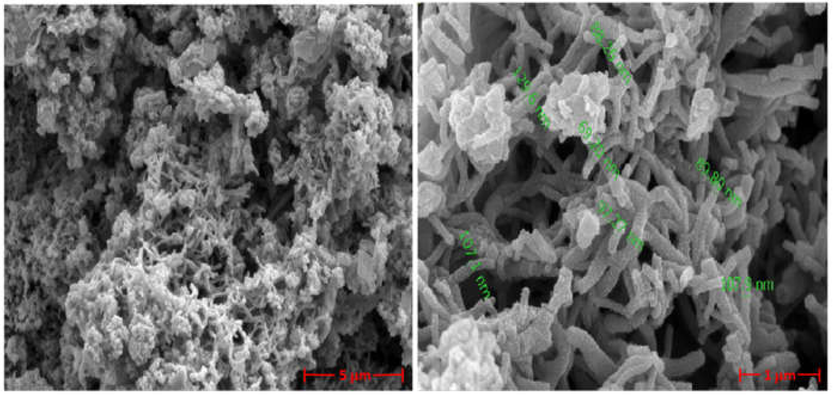 Polymers 13 02329 g002