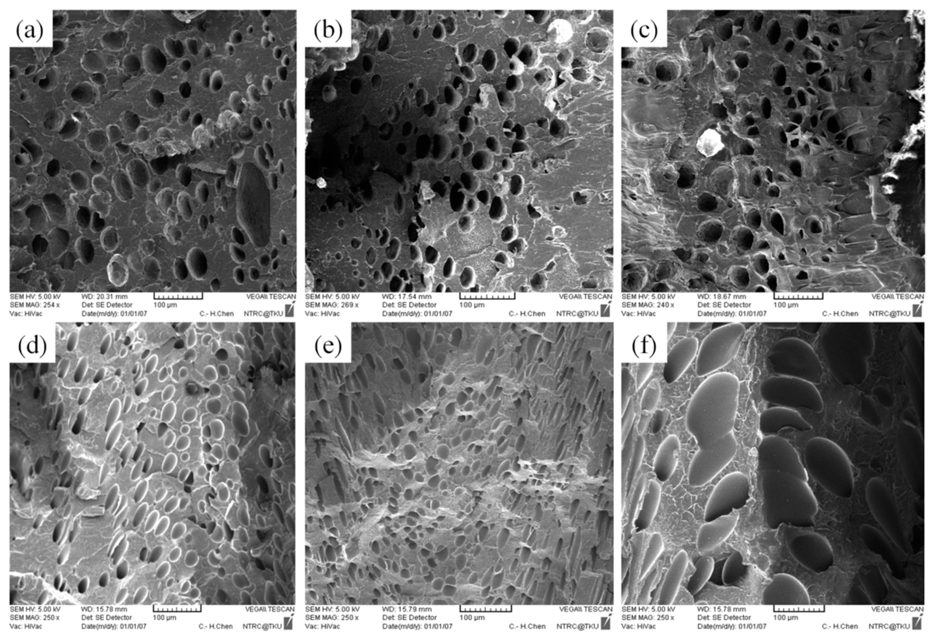 Polymers 13 02331 g008
