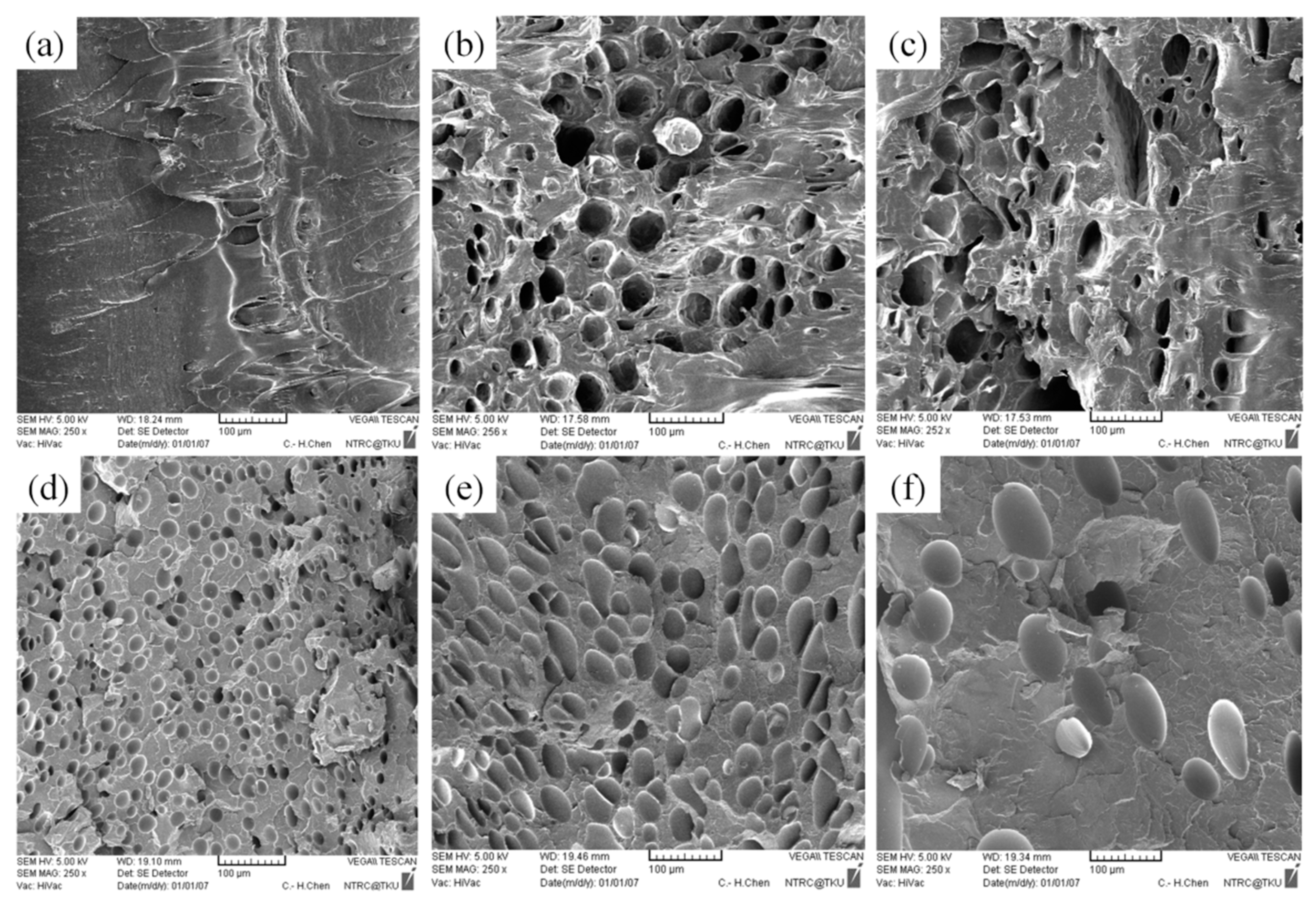 Polymers 13 02331 g011