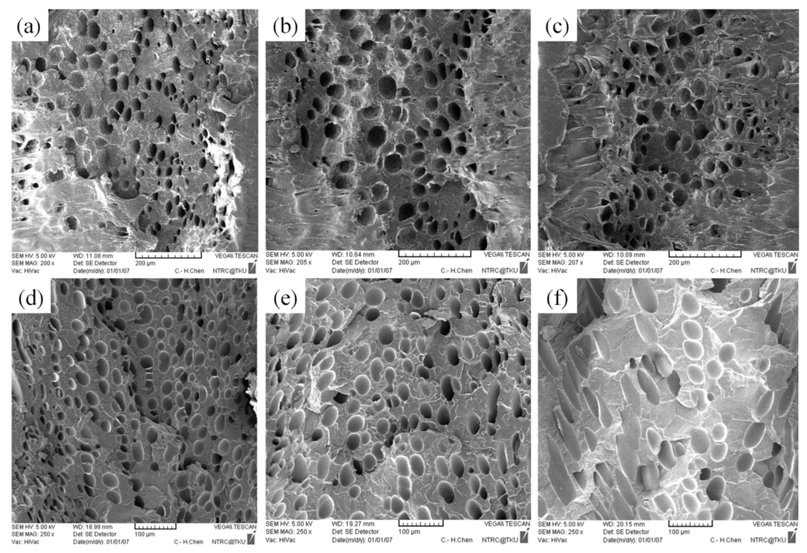 Polymers 13 02331 g014