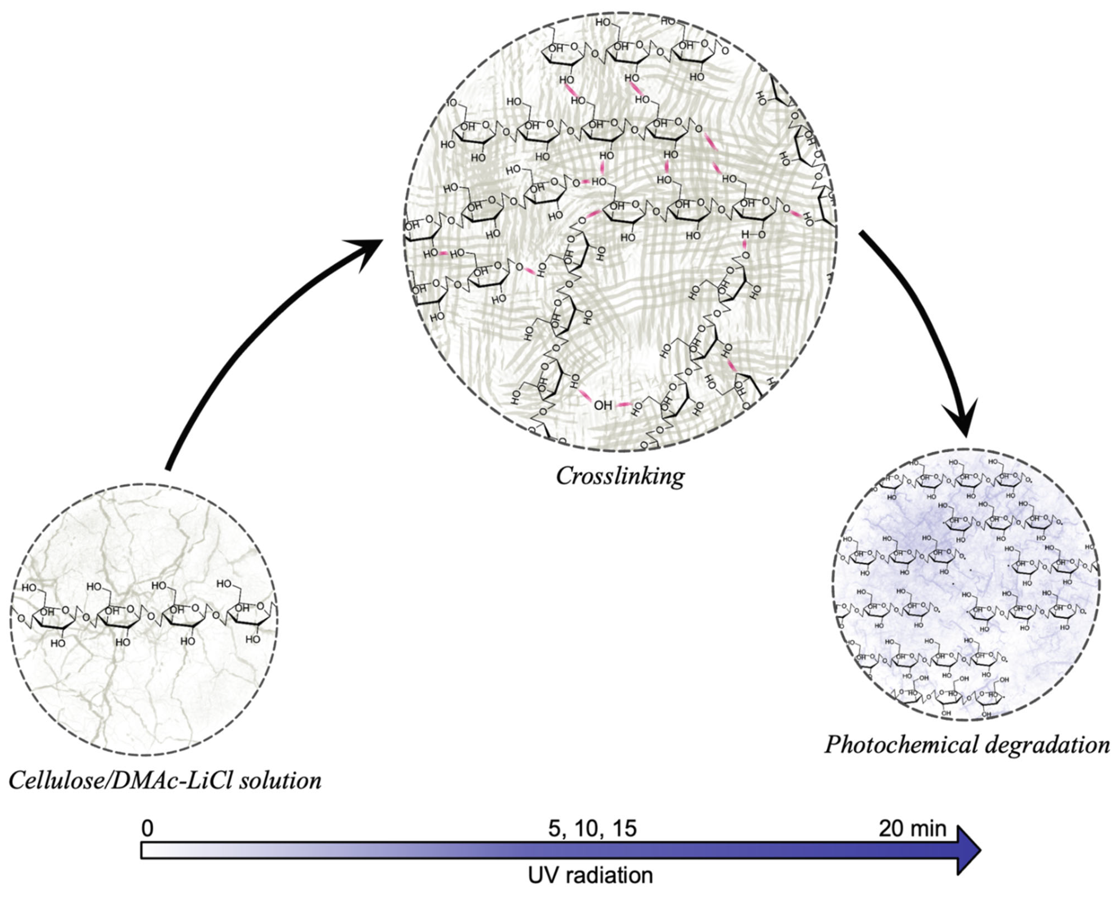 Polymers 13 02342 g006 Polymers 13 02342 g006