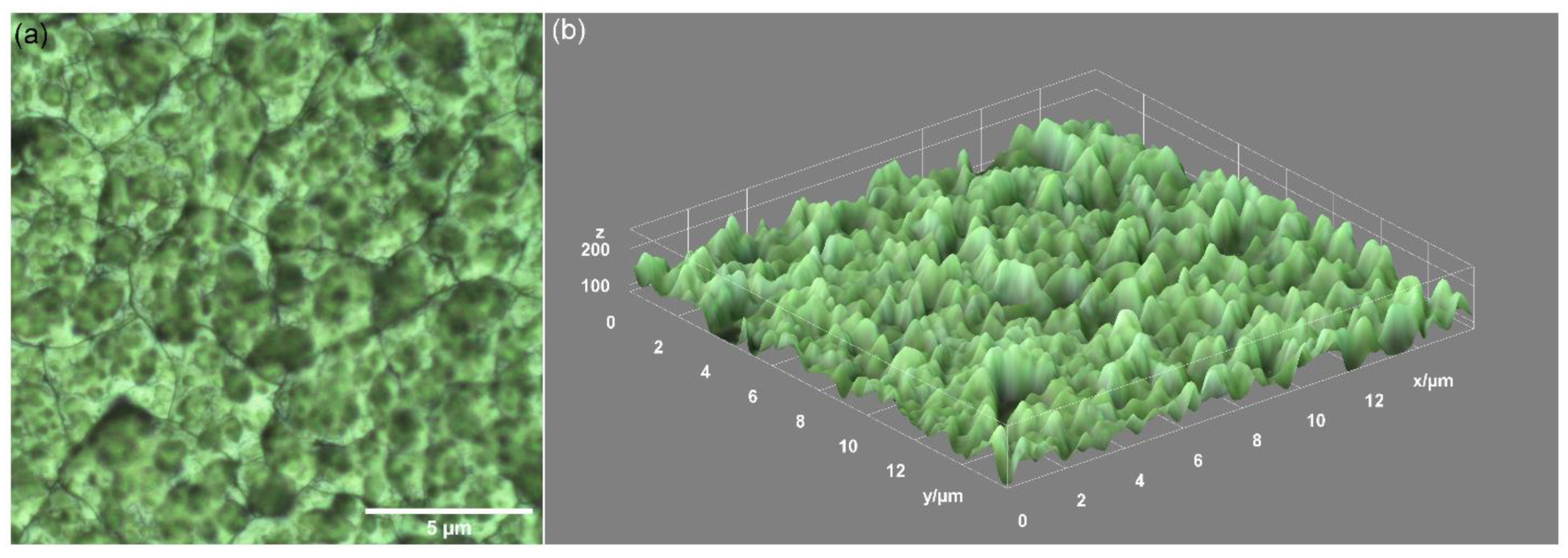 Polymers 13 02351 g001 Polymers 13 02351 g001