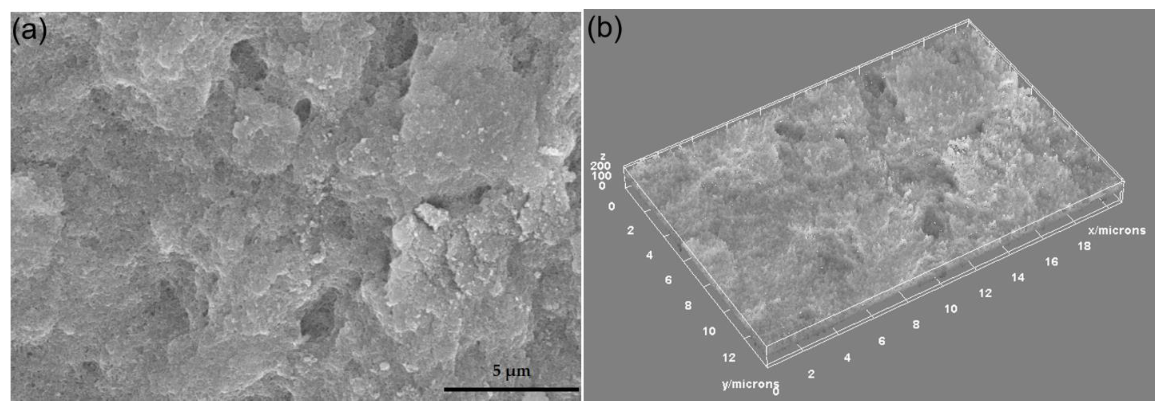 Polymers 13 02351 g004 Polymers 13 02351 g004