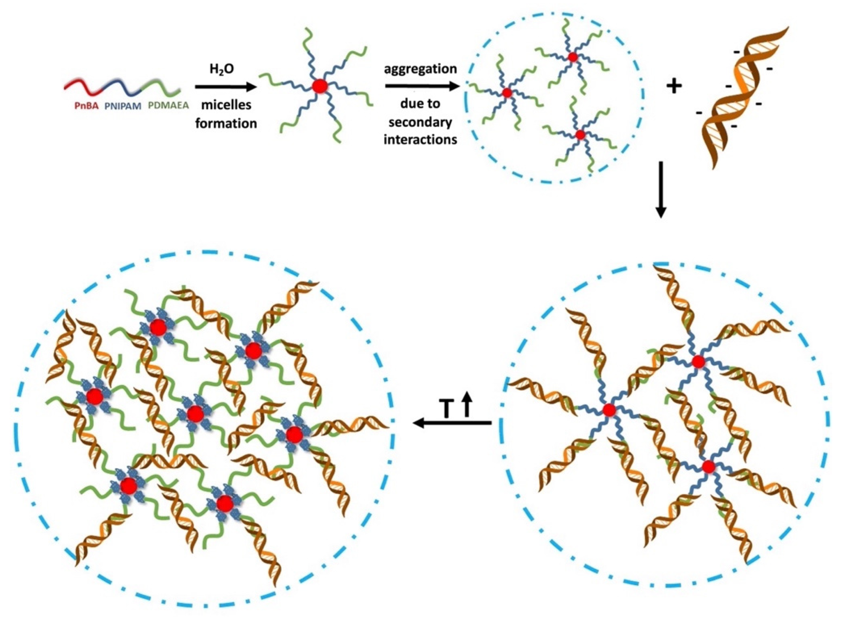 Polymers 13 02361 sch002