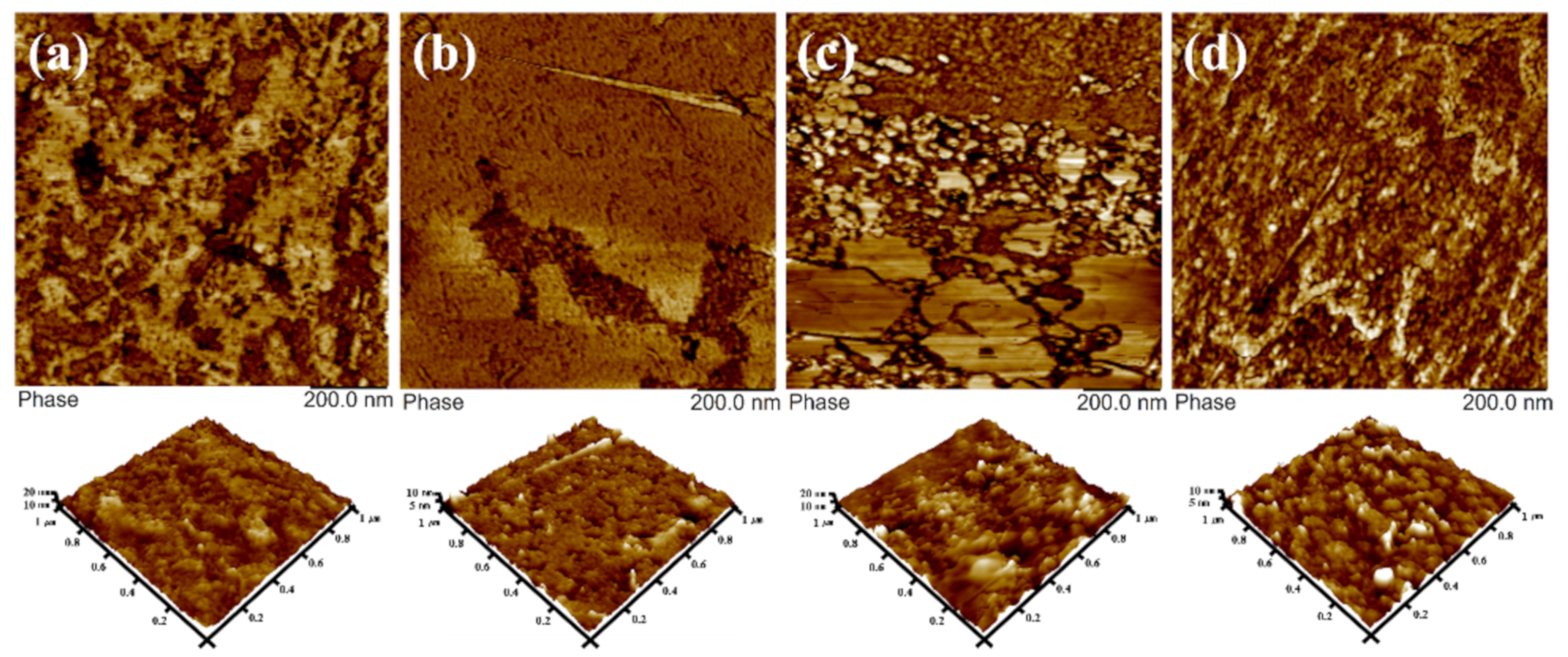 Polymers 13 02364 g007