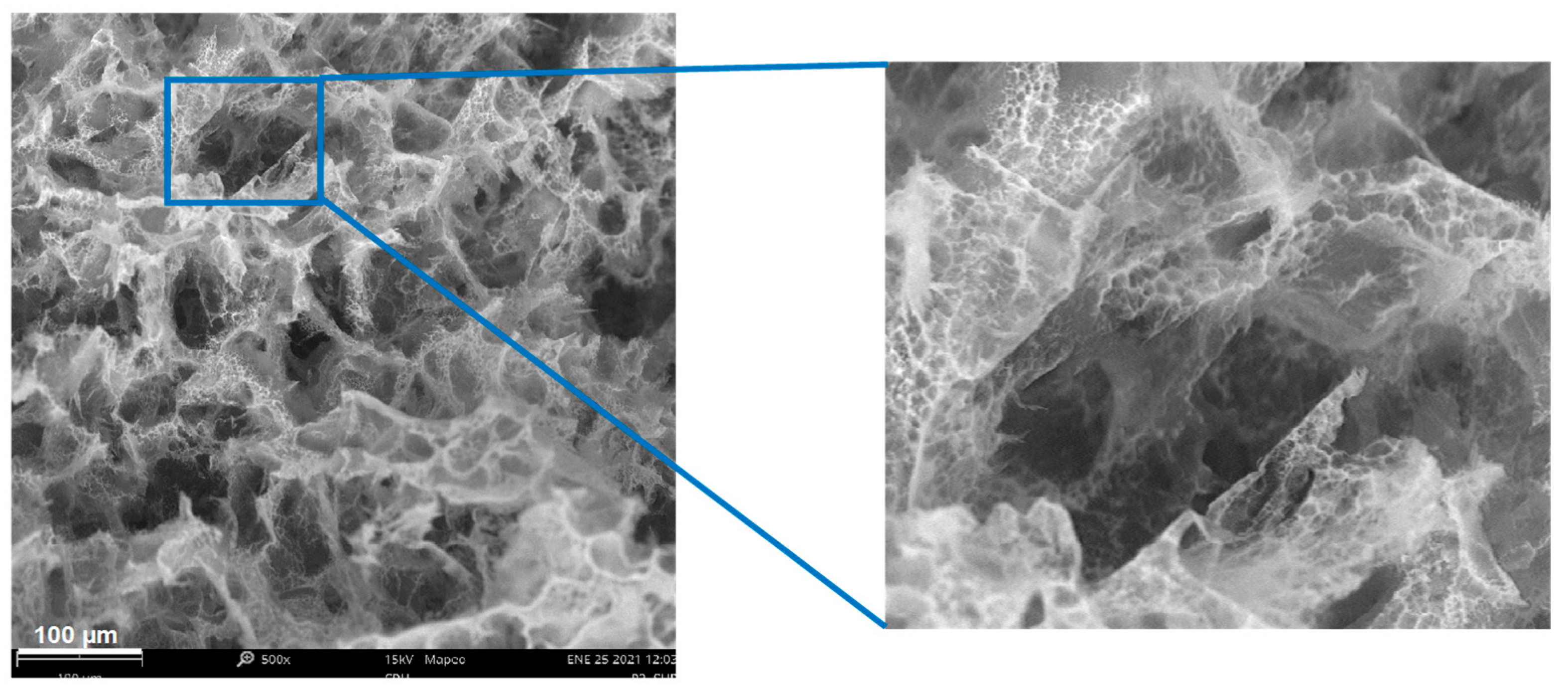 Polymers 13 02372 g005