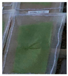 Polymers 13 02373 i010 Polymers 13 02373 i010