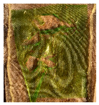 Polymers 13 02373 i011 Polymers 13 02373 i011