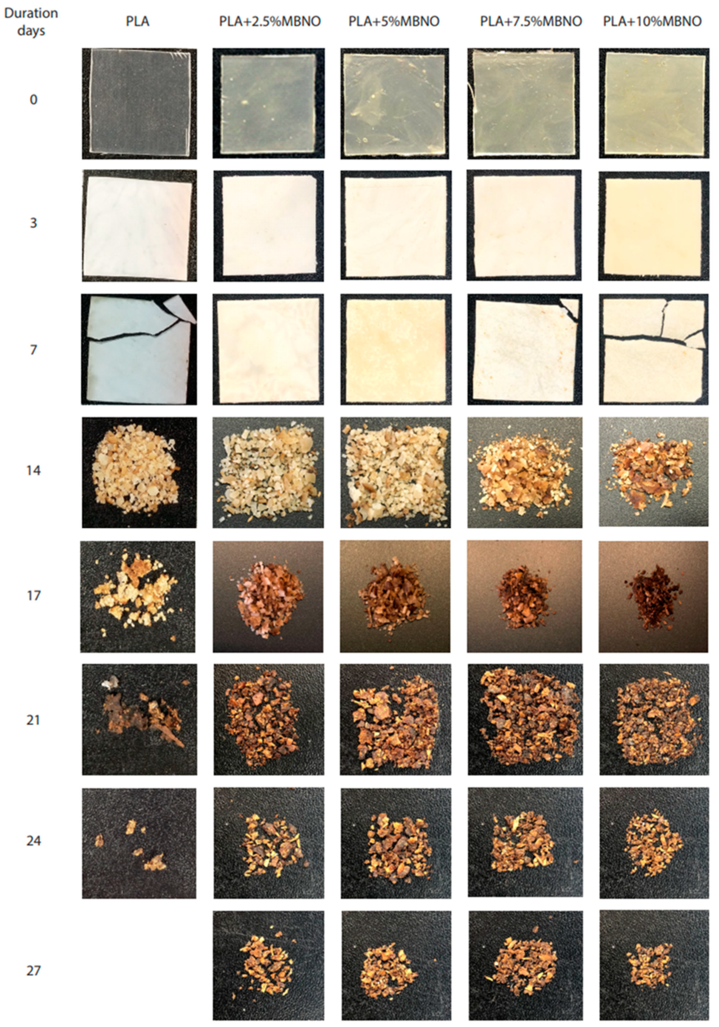 Polymers 13 02376 g011