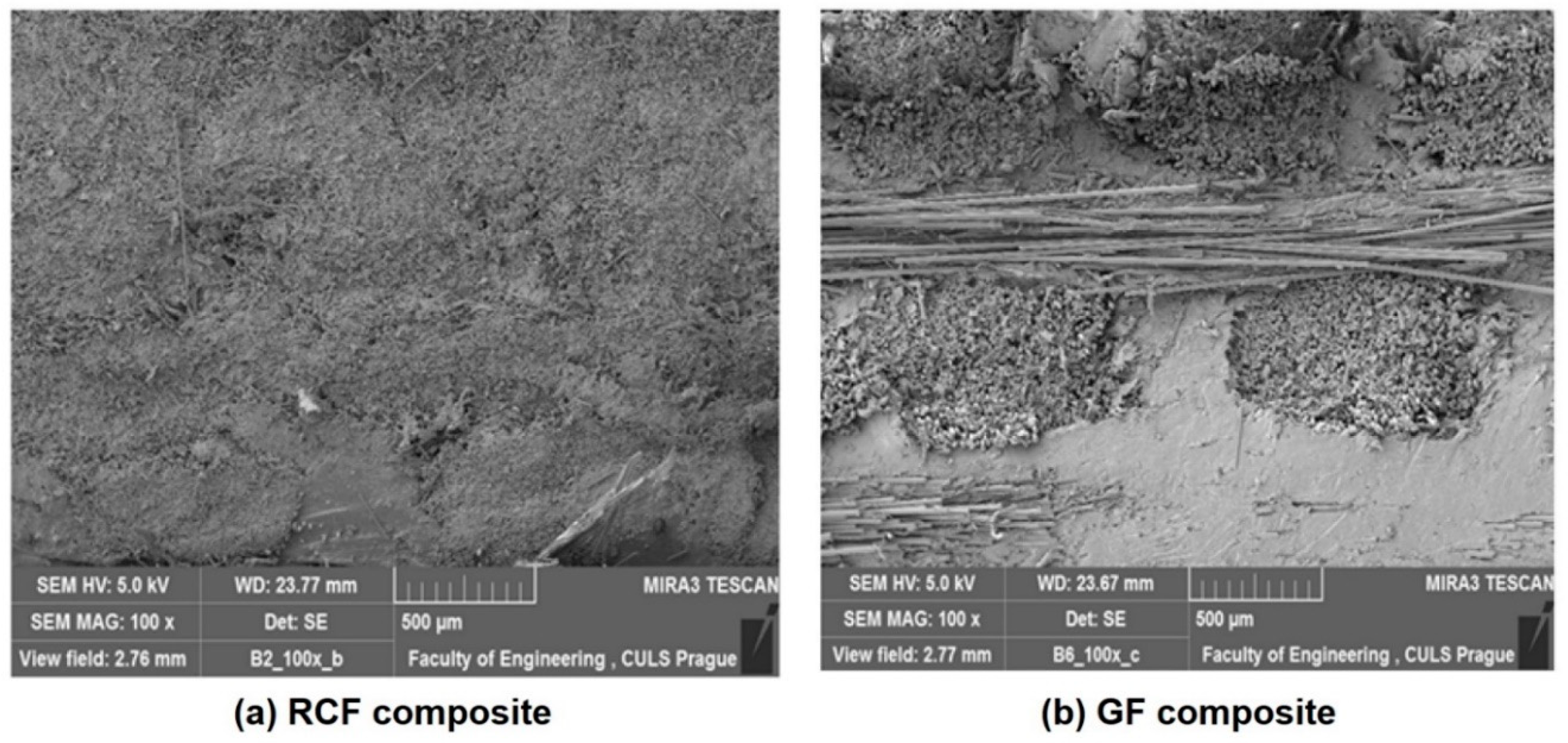 Polymers 13 02381 g003 Polymers 13 02381 g003