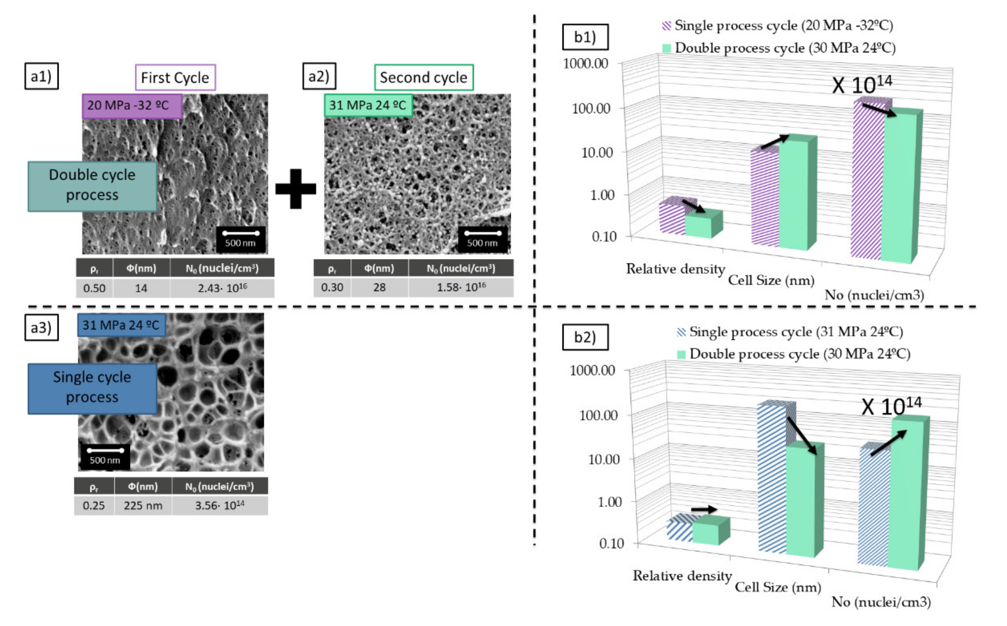 Polymers 13 02383 g002