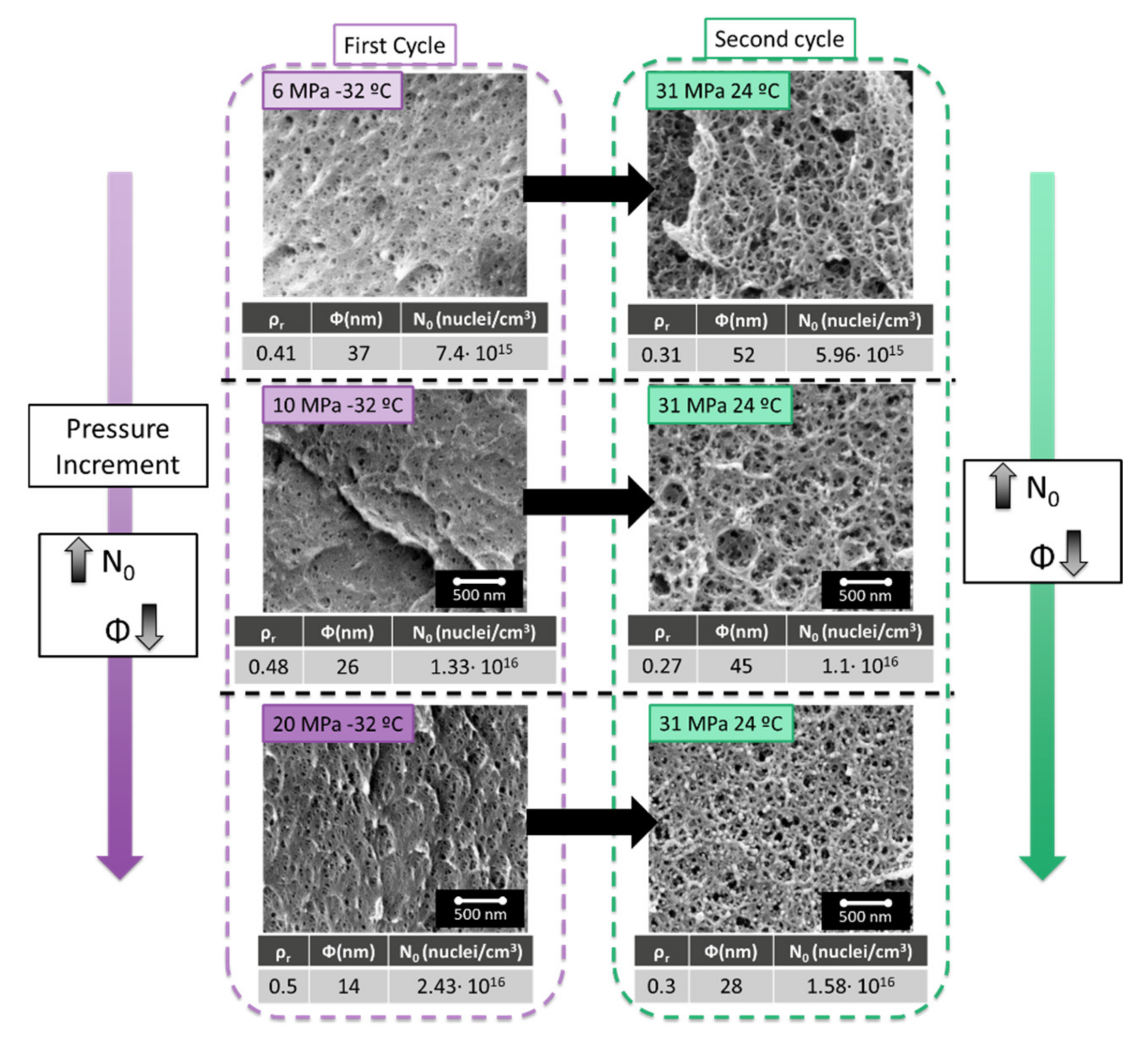 Polymers 13 02383 g004