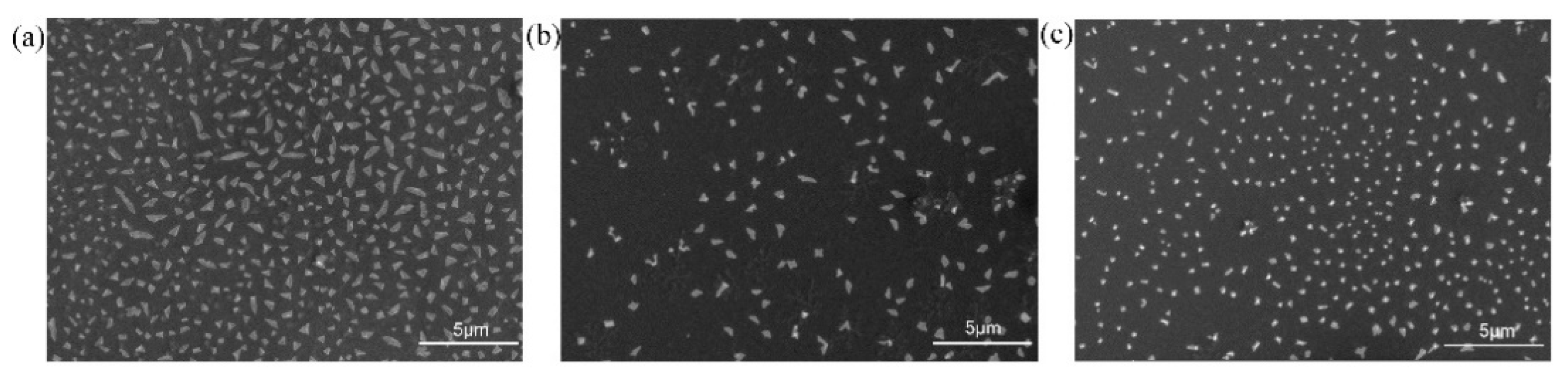 Polymers 13 02389 g005