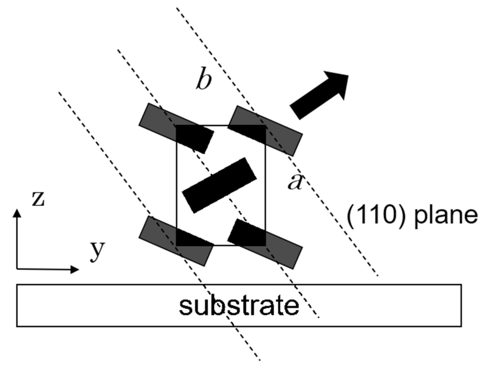 Polymers 13 02393 g009