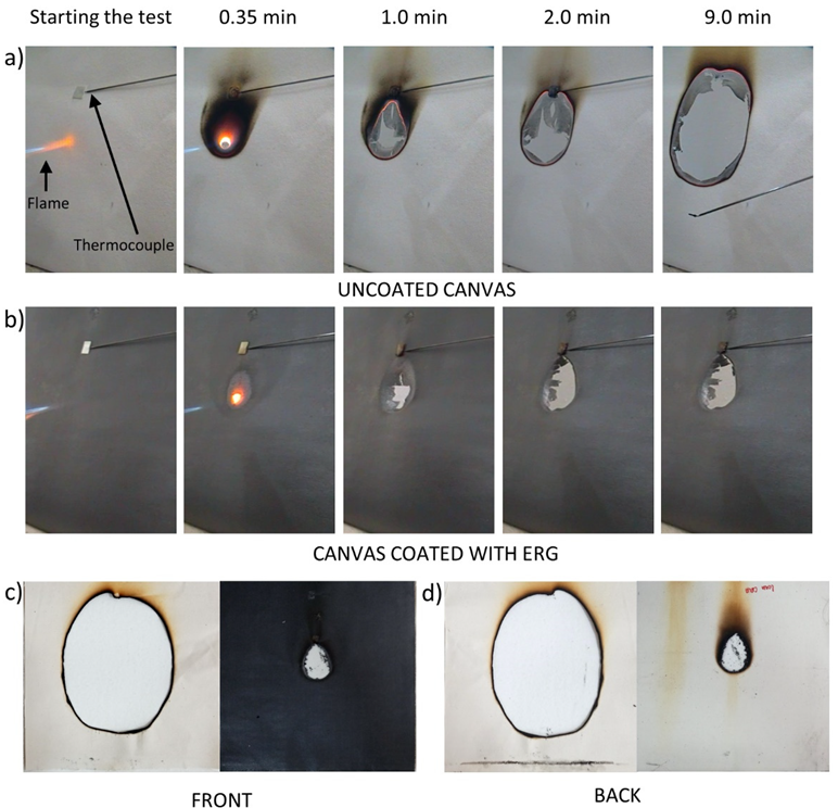 Polymers 13 02400 g010
