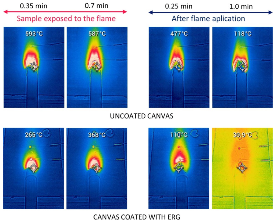 Polymers 13 02400 g012