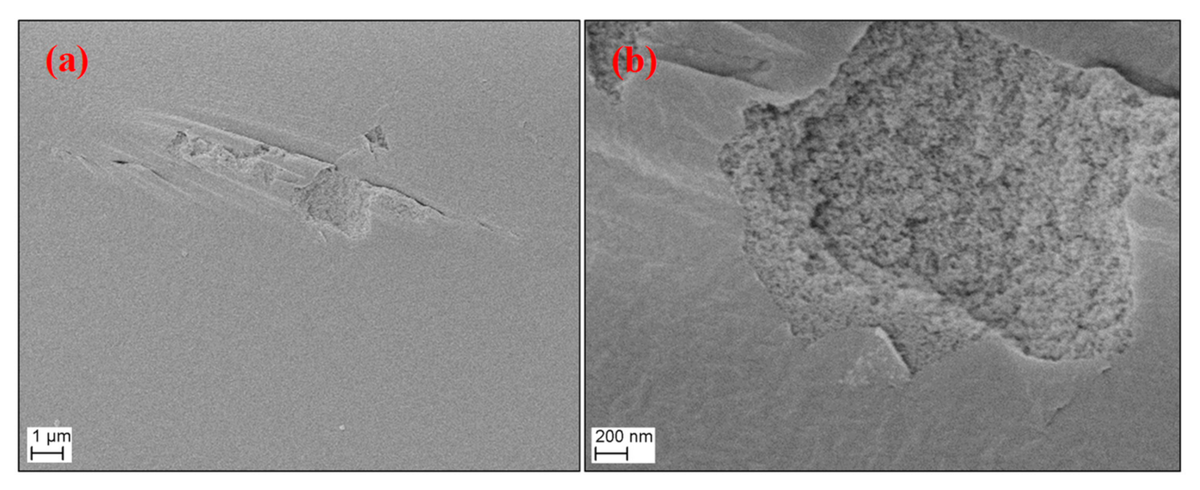 Polymers 13 02409 g007 Polymers 13 02409 g007