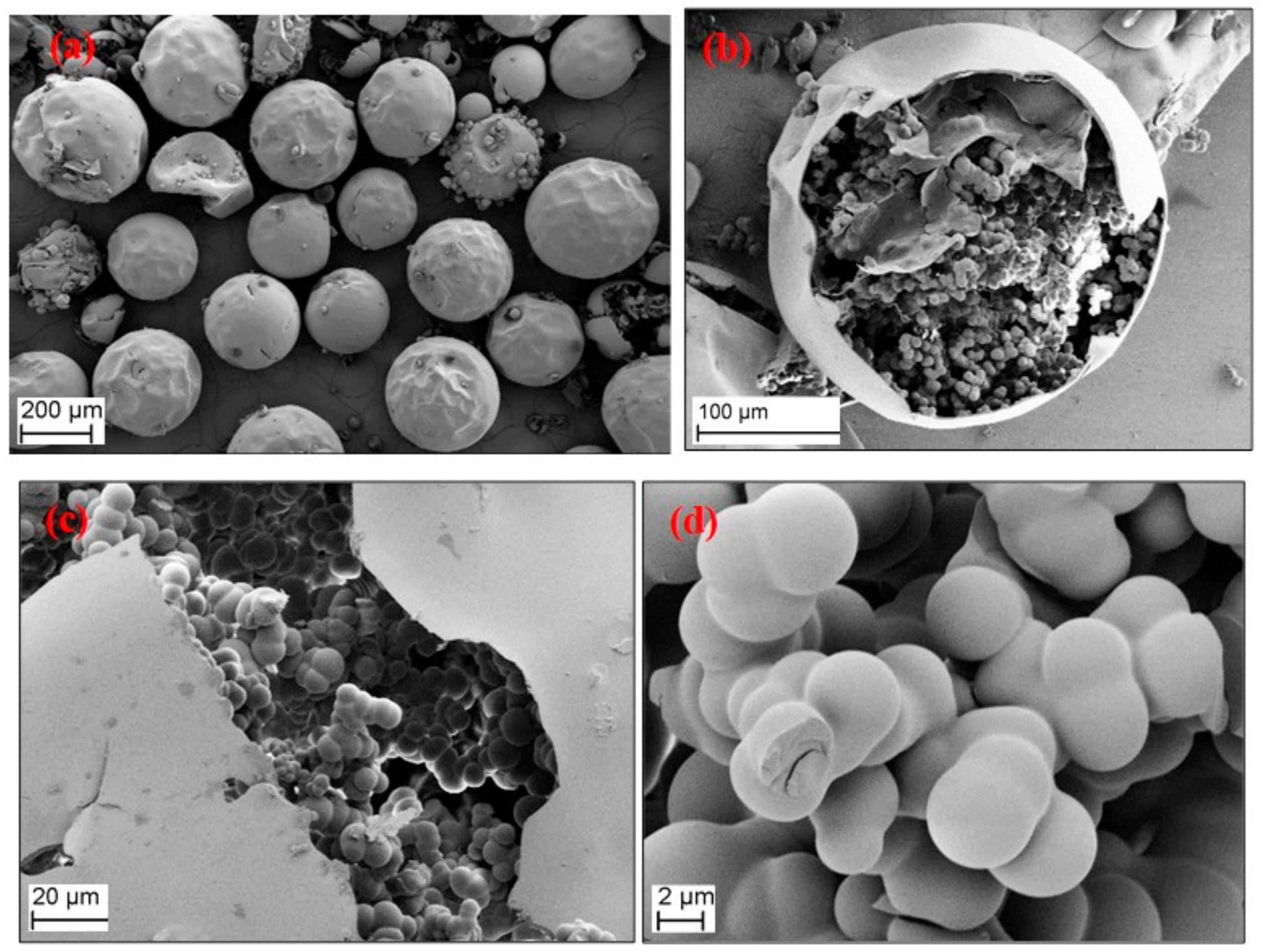 Polymers 13 02409 g012 Polymers 13 02409 g012