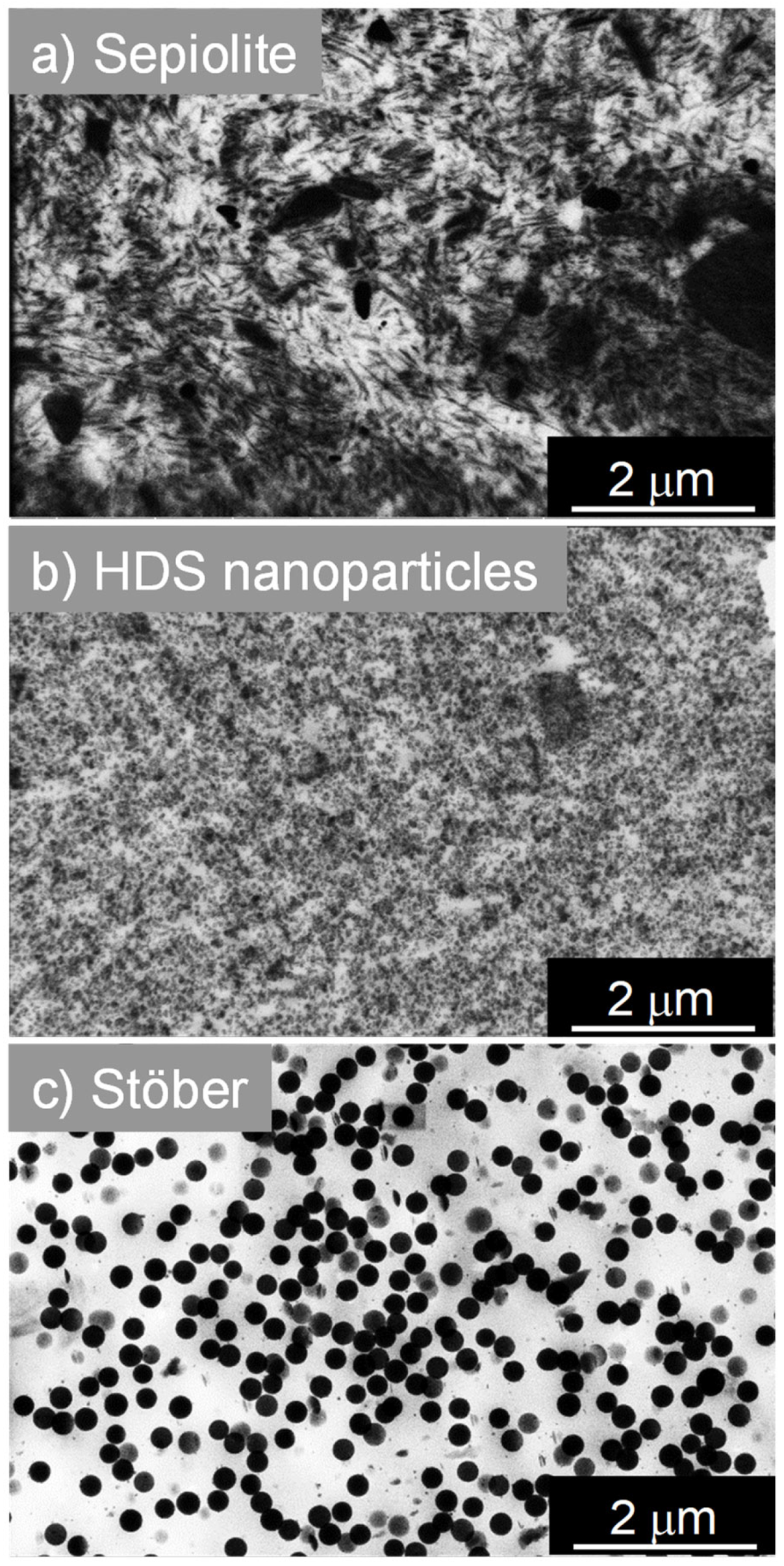 Polymers 13 02413 g001
