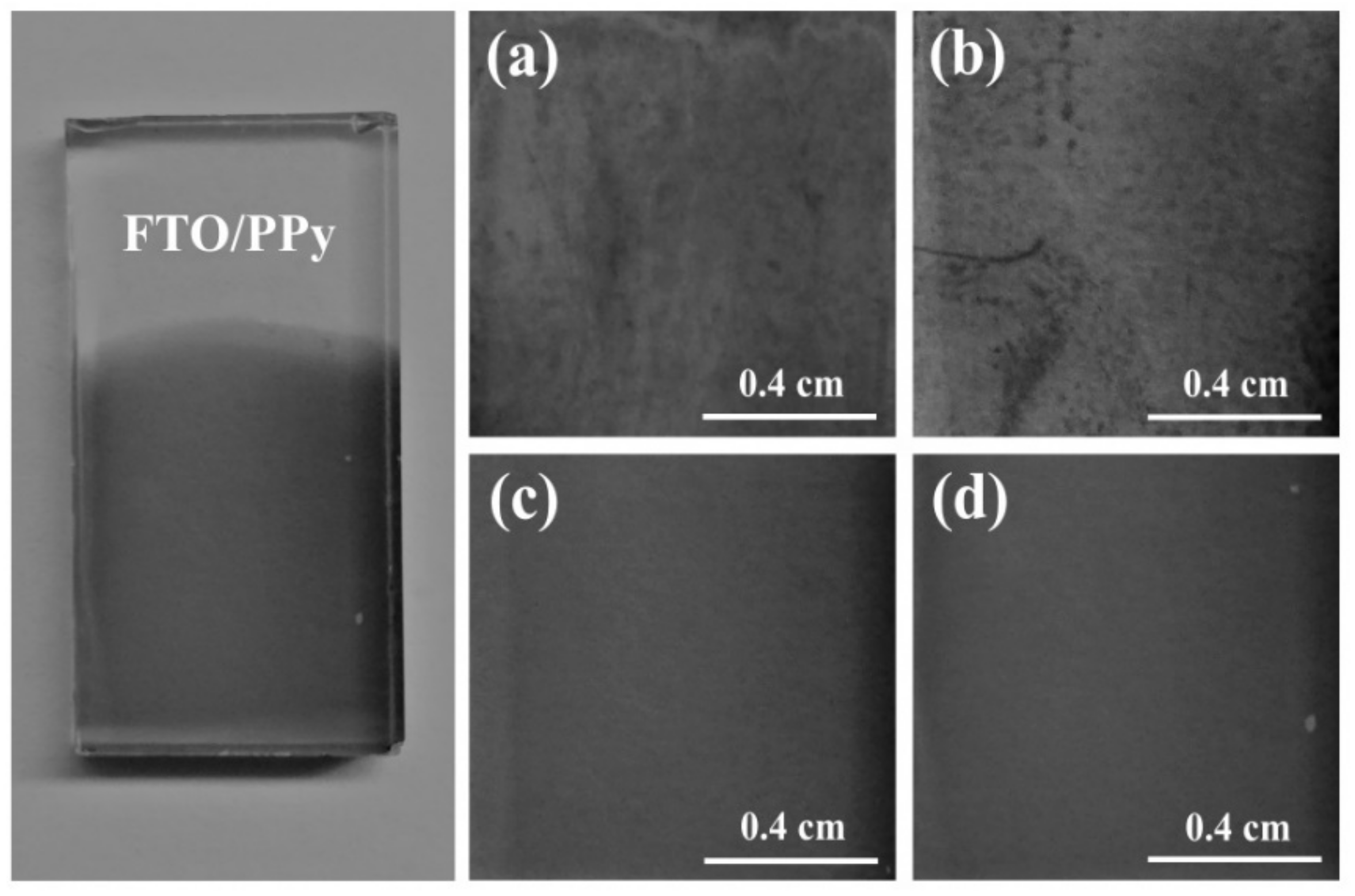 Polymers 13 02419 g005