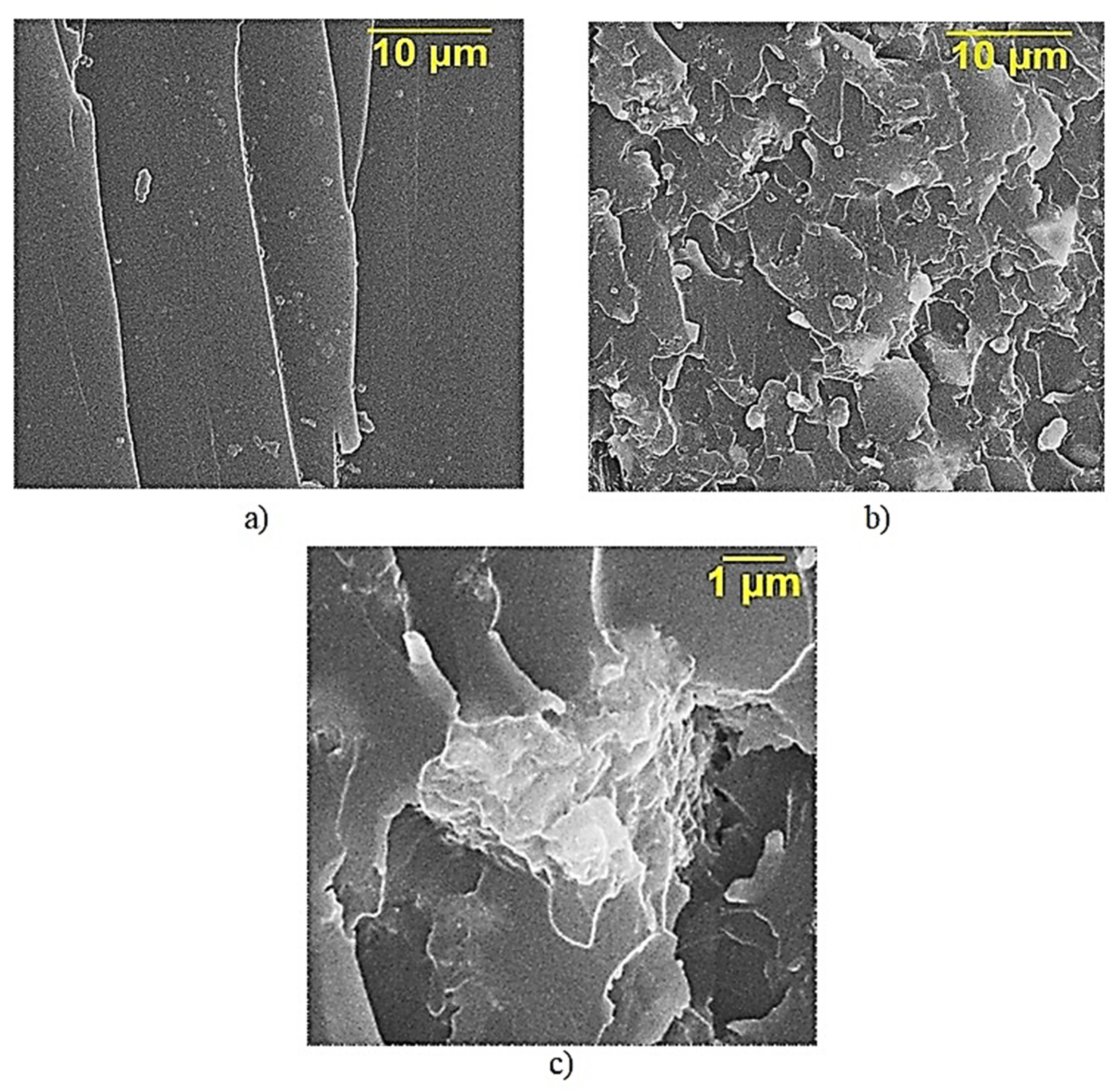 Polymers 13 02421 g004