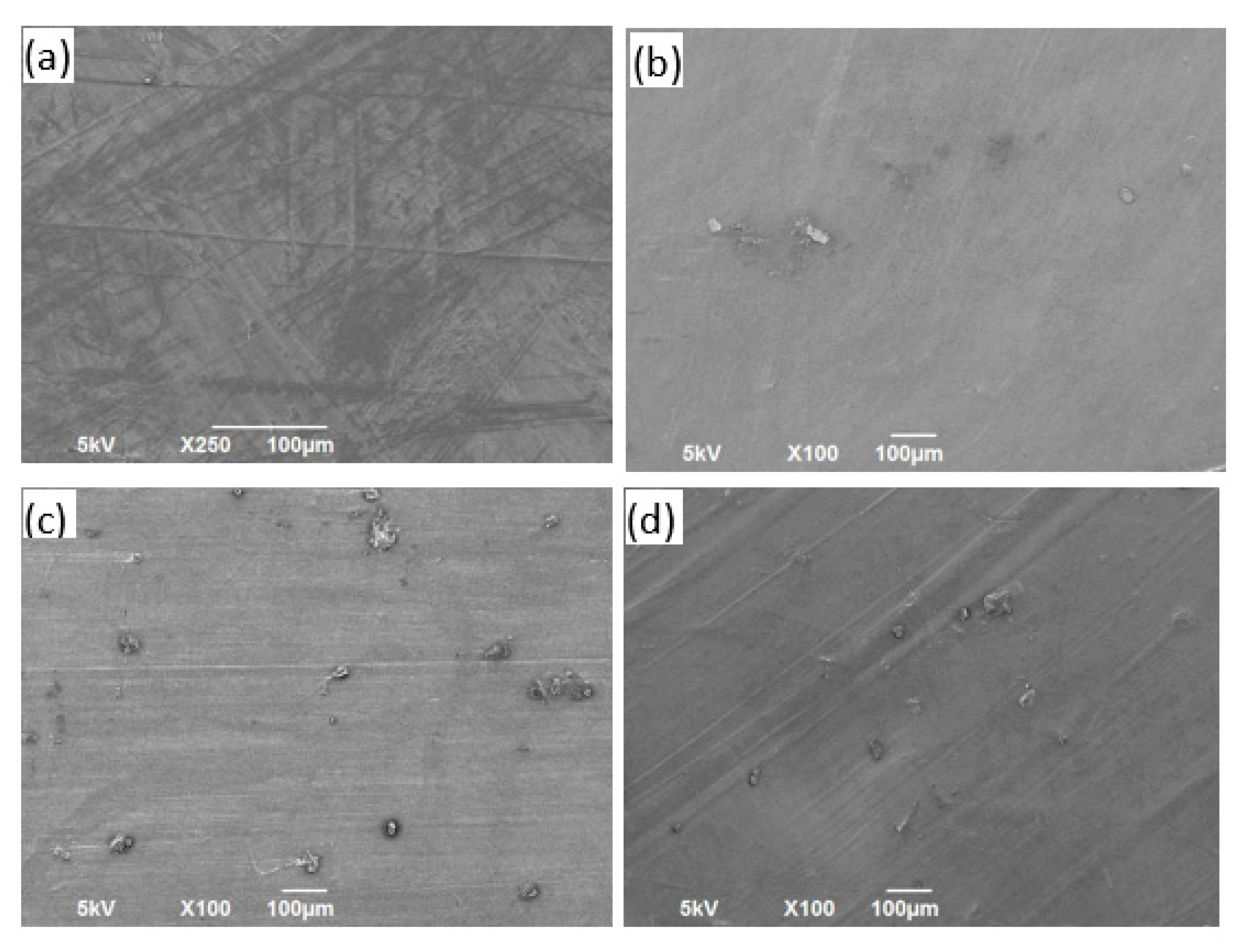 Polymers 13 02423 g014 Polymers 13 02423 g014
