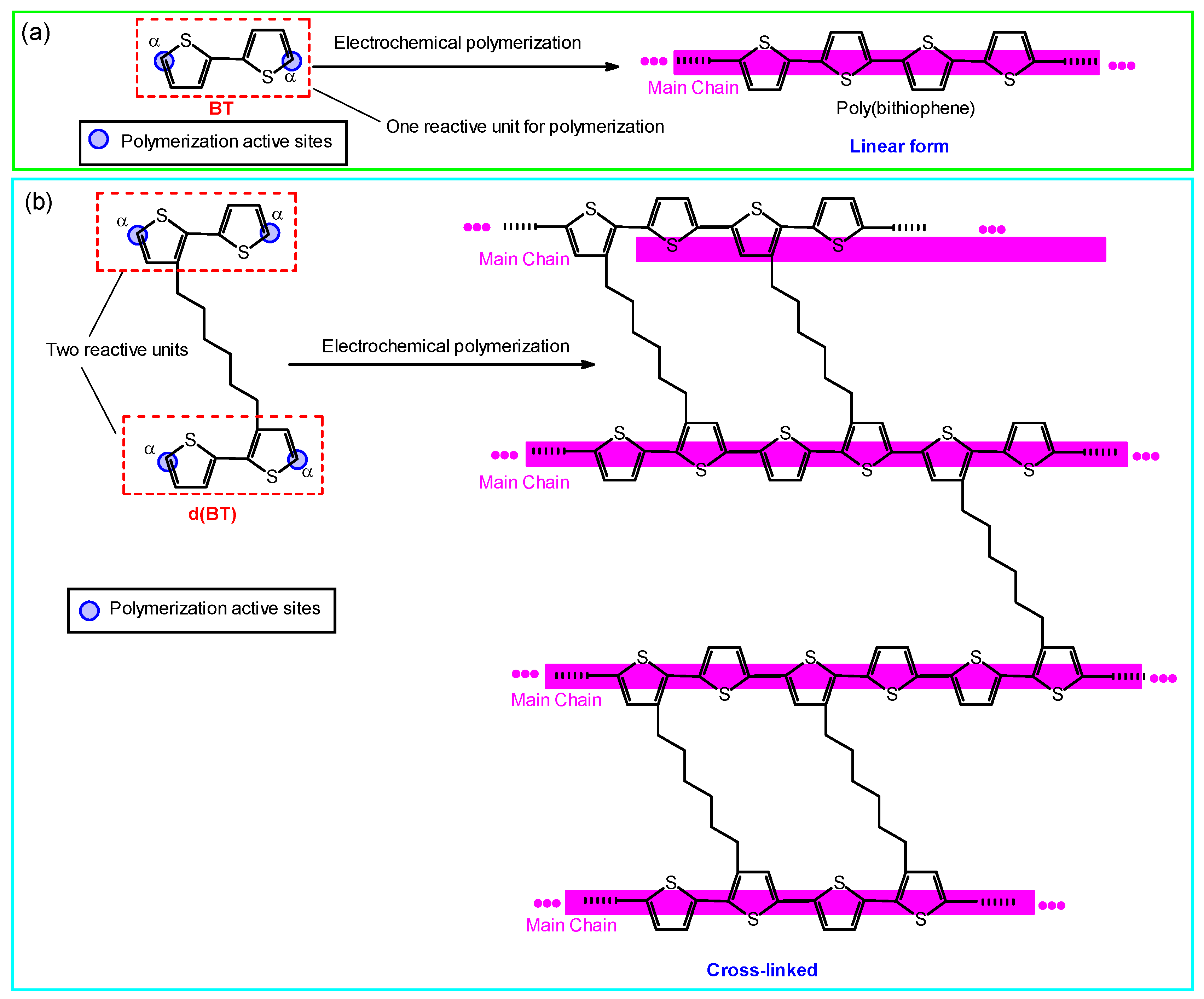 Polymers 13 02425 g001