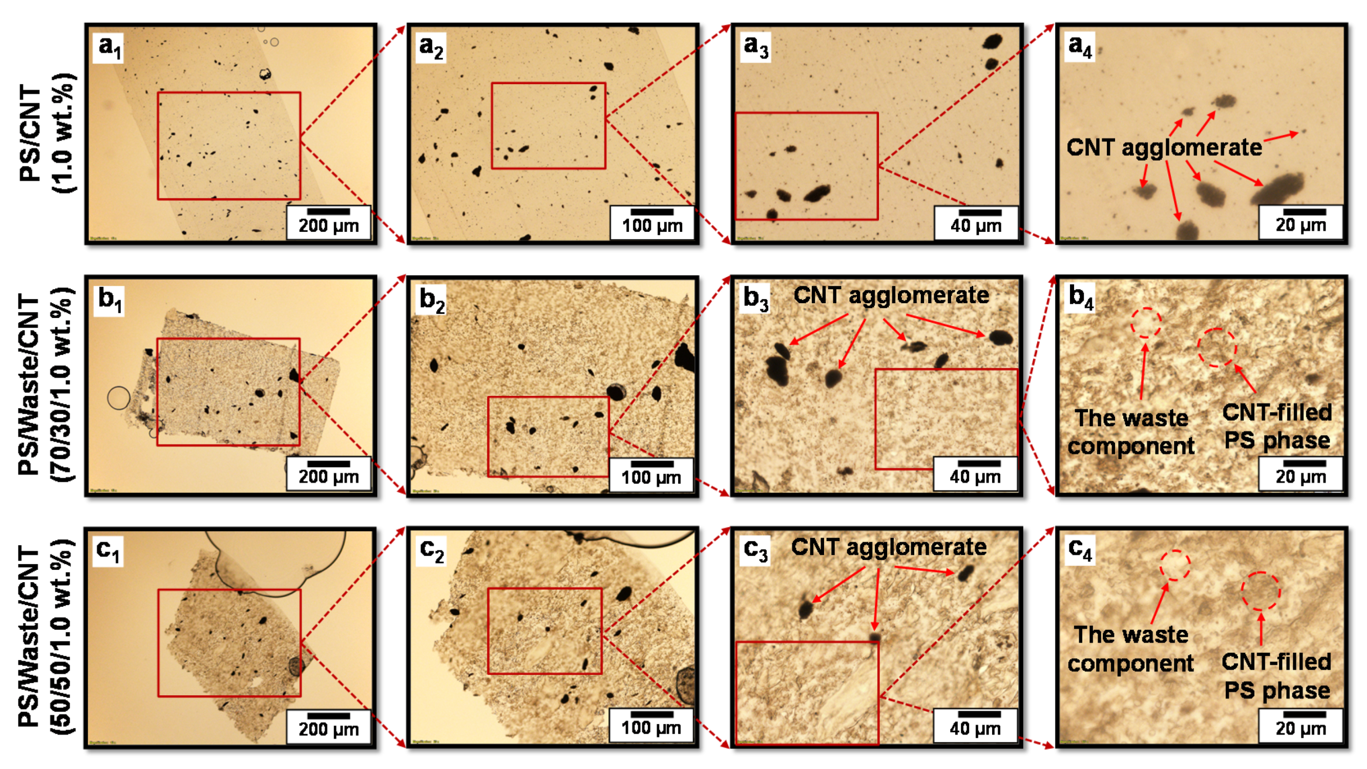 Polymers 13 02427 g001