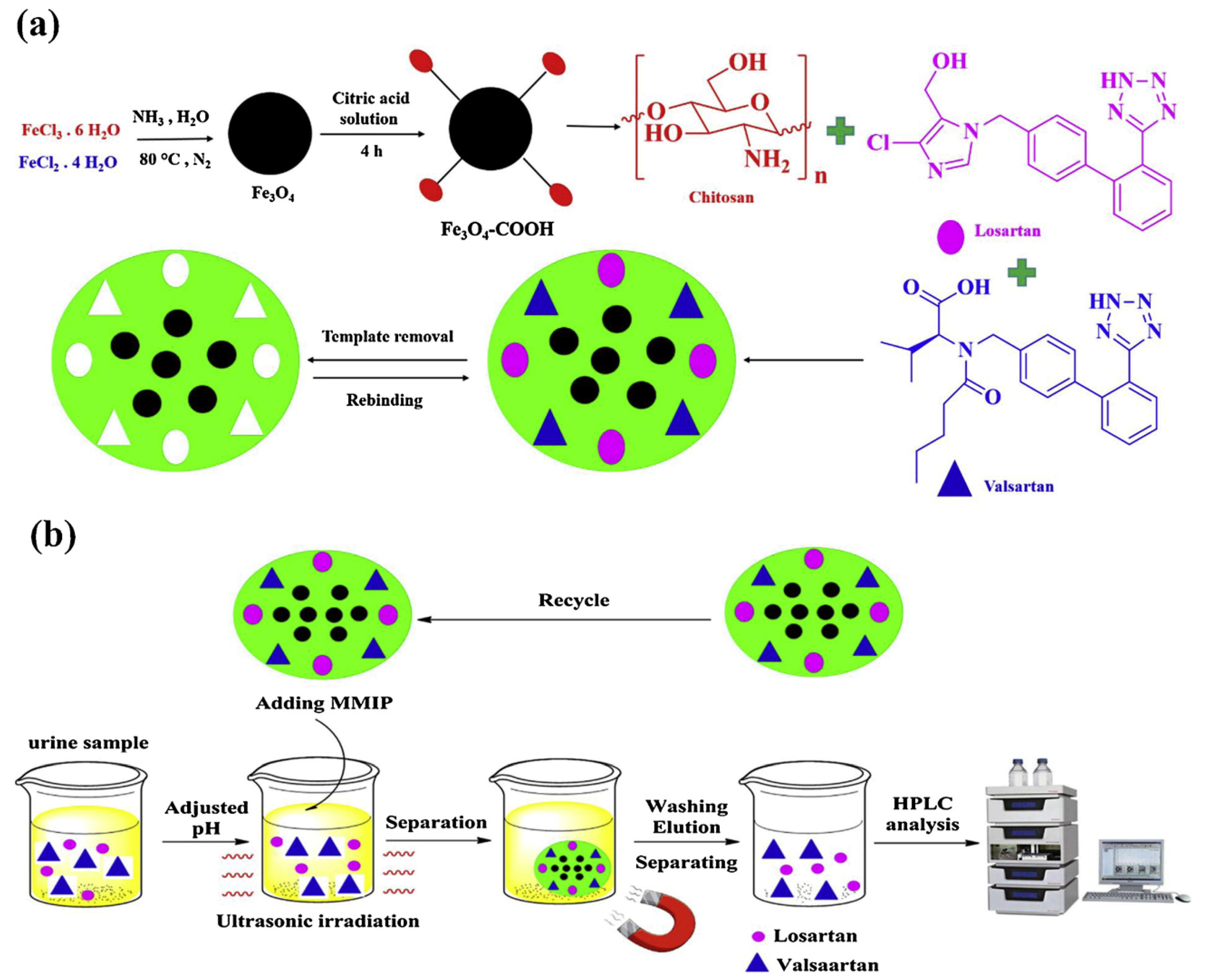 Polymers 13 02430 g002