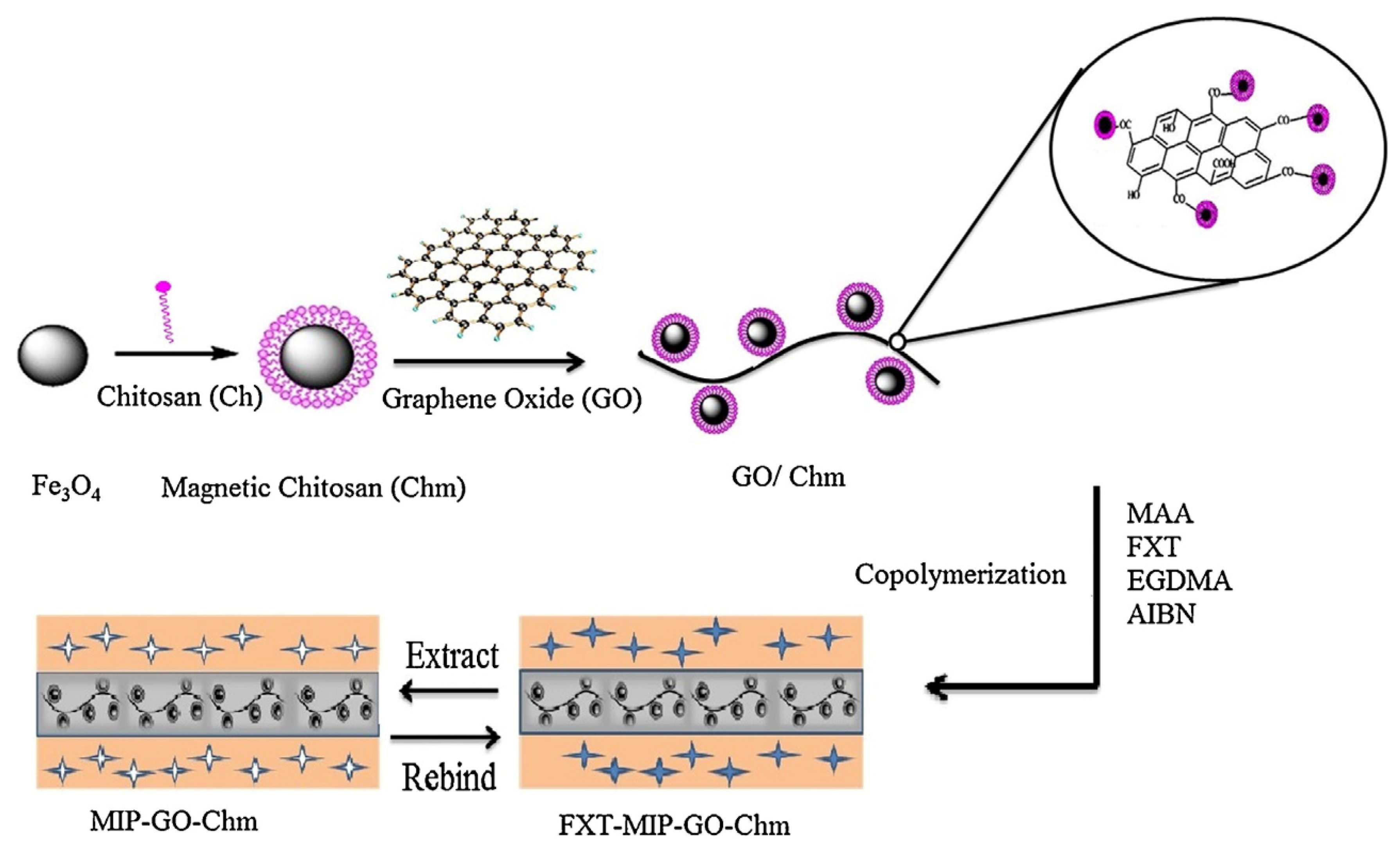 Polymers 13 02430 g003
